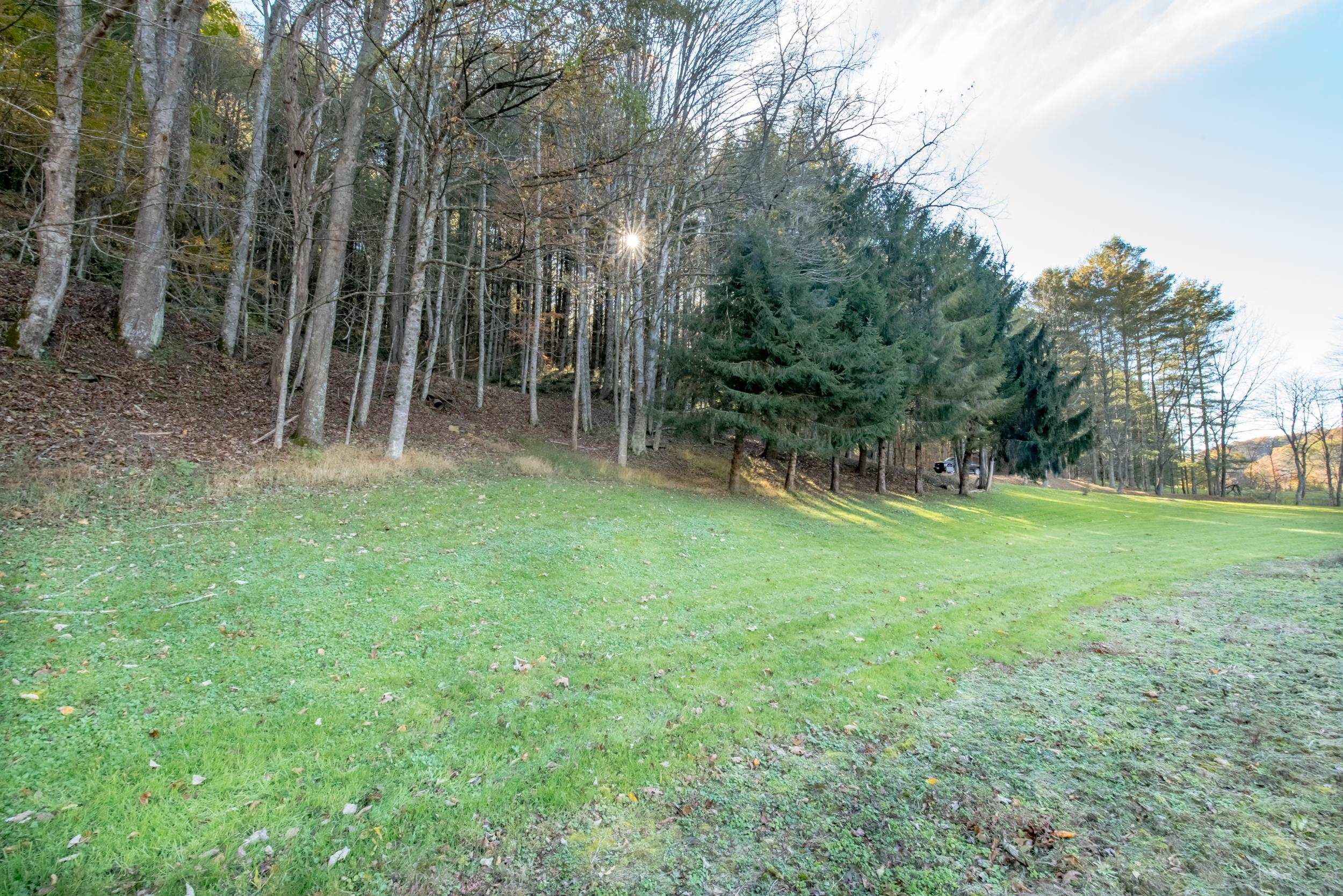 305 Mulberry Lane Mouth Of Wilson VA 24363