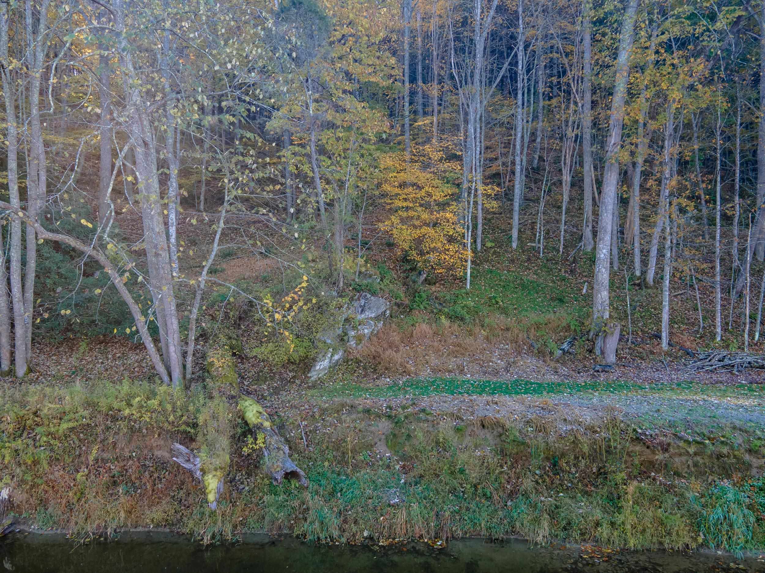 305 Mulberry Lane Mouth Of Wilson VA 24363