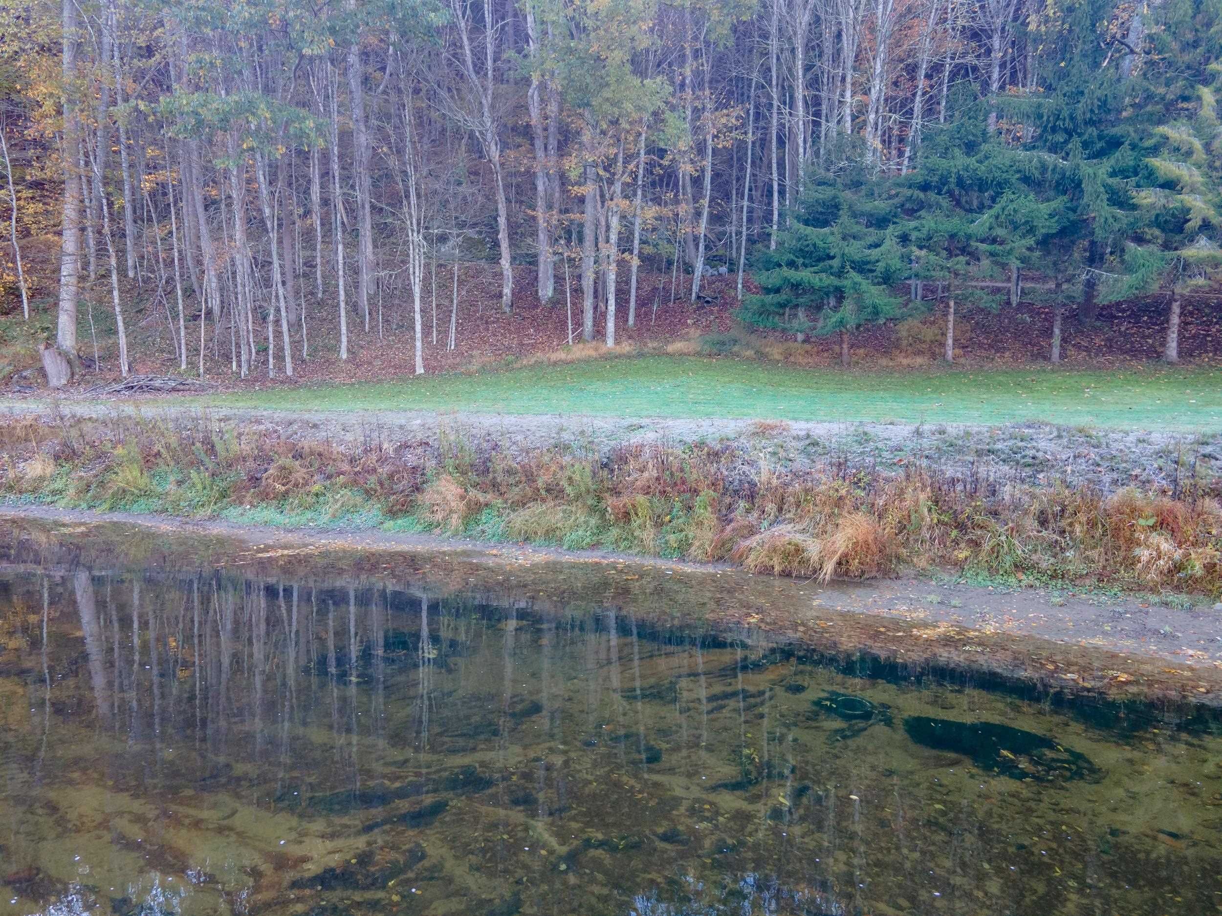 305 Mulberry Lane Mouth Of Wilson VA 24363