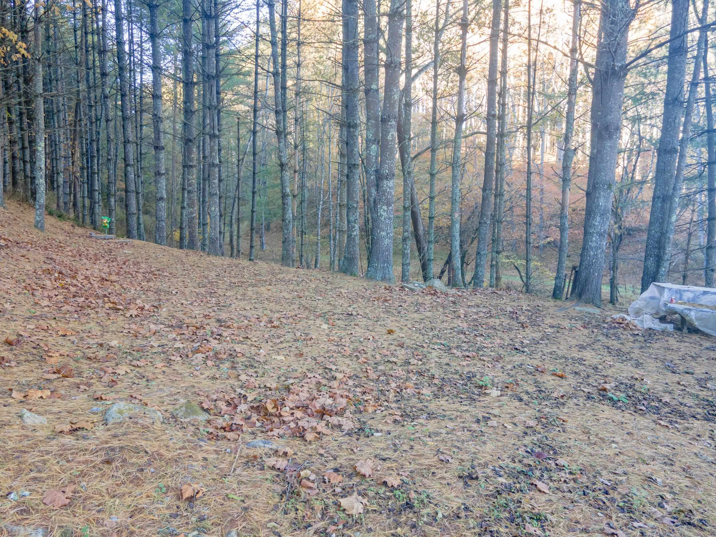 305 Mulberry Lane Mouth Of Wilson VA 24363