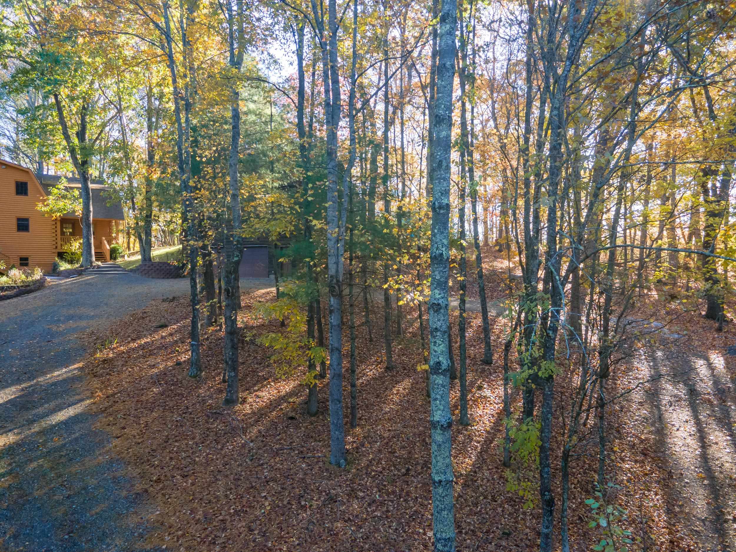 305 Mulberry Lane Mouth Of Wilson VA 24363