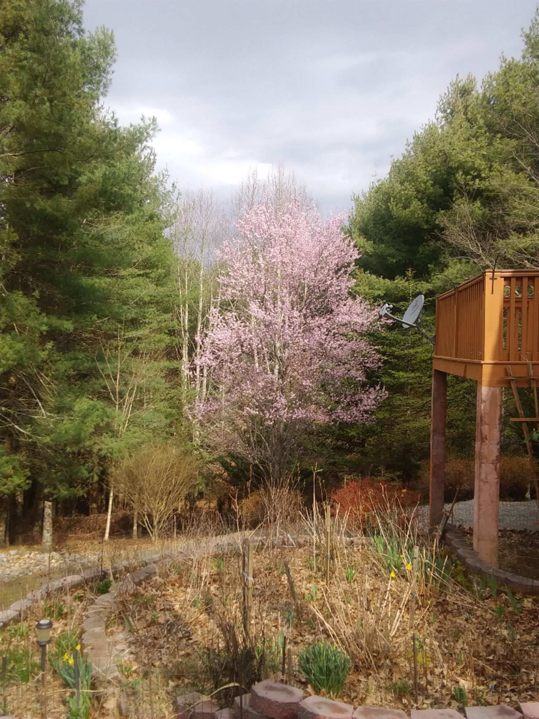 305 Mulberry Lane Mouth Of Wilson VA 24363