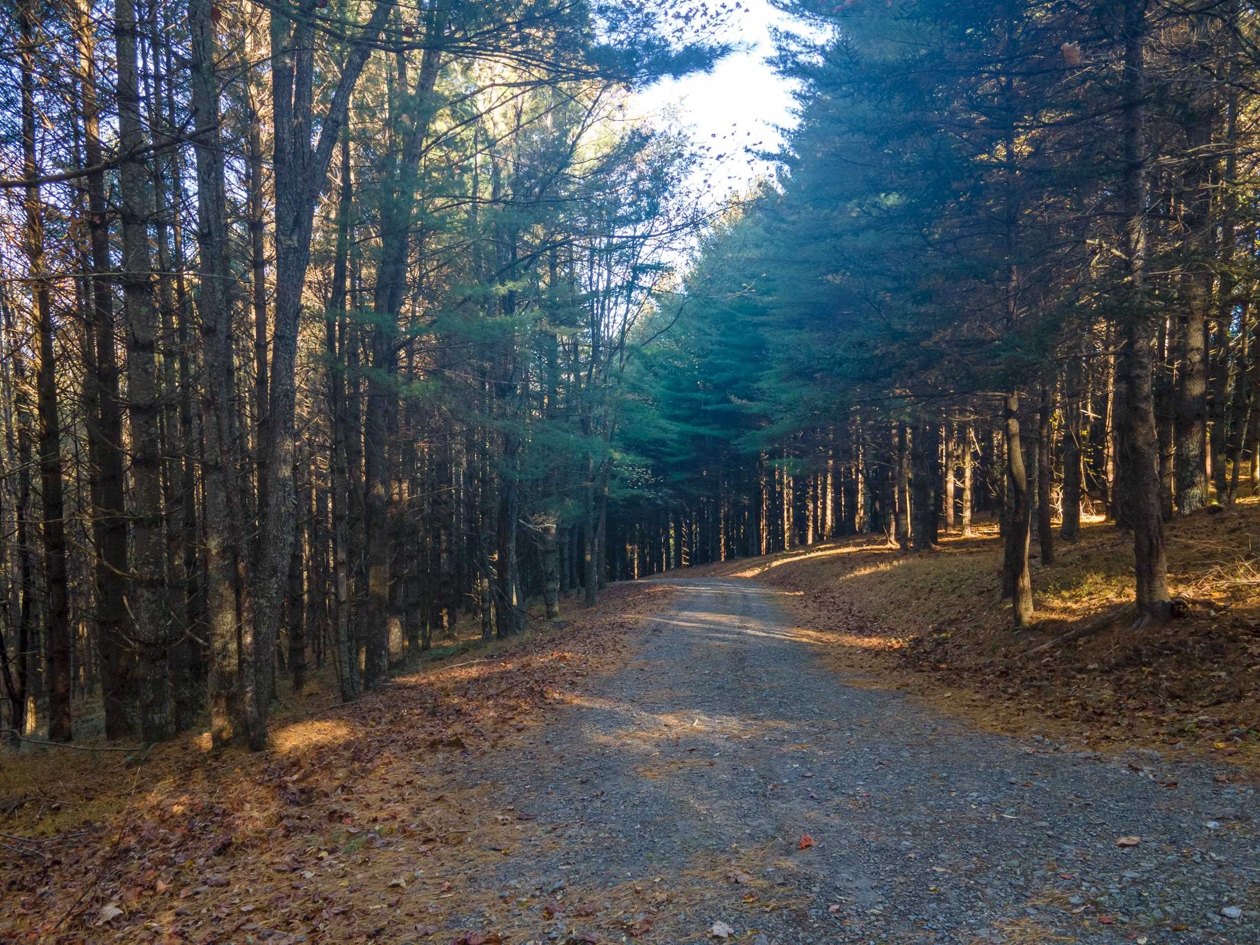 305 Mulberry Lane Mouth Of Wilson VA 24363