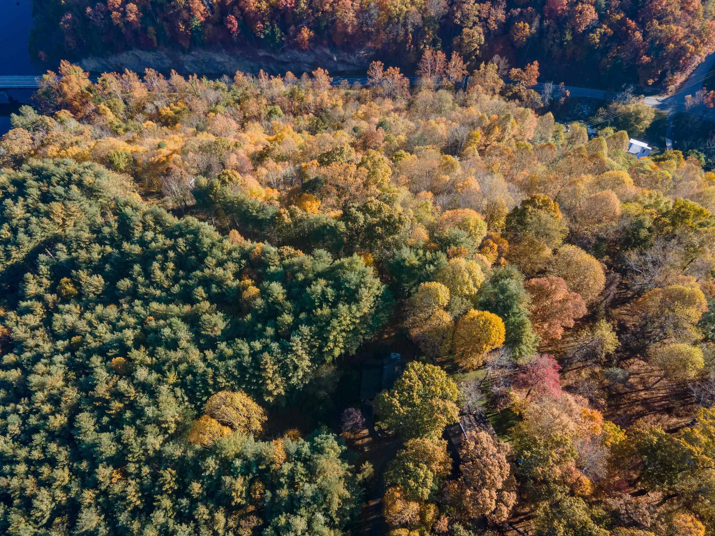 305 Mulberry Lane Mouth Of Wilson VA 24363