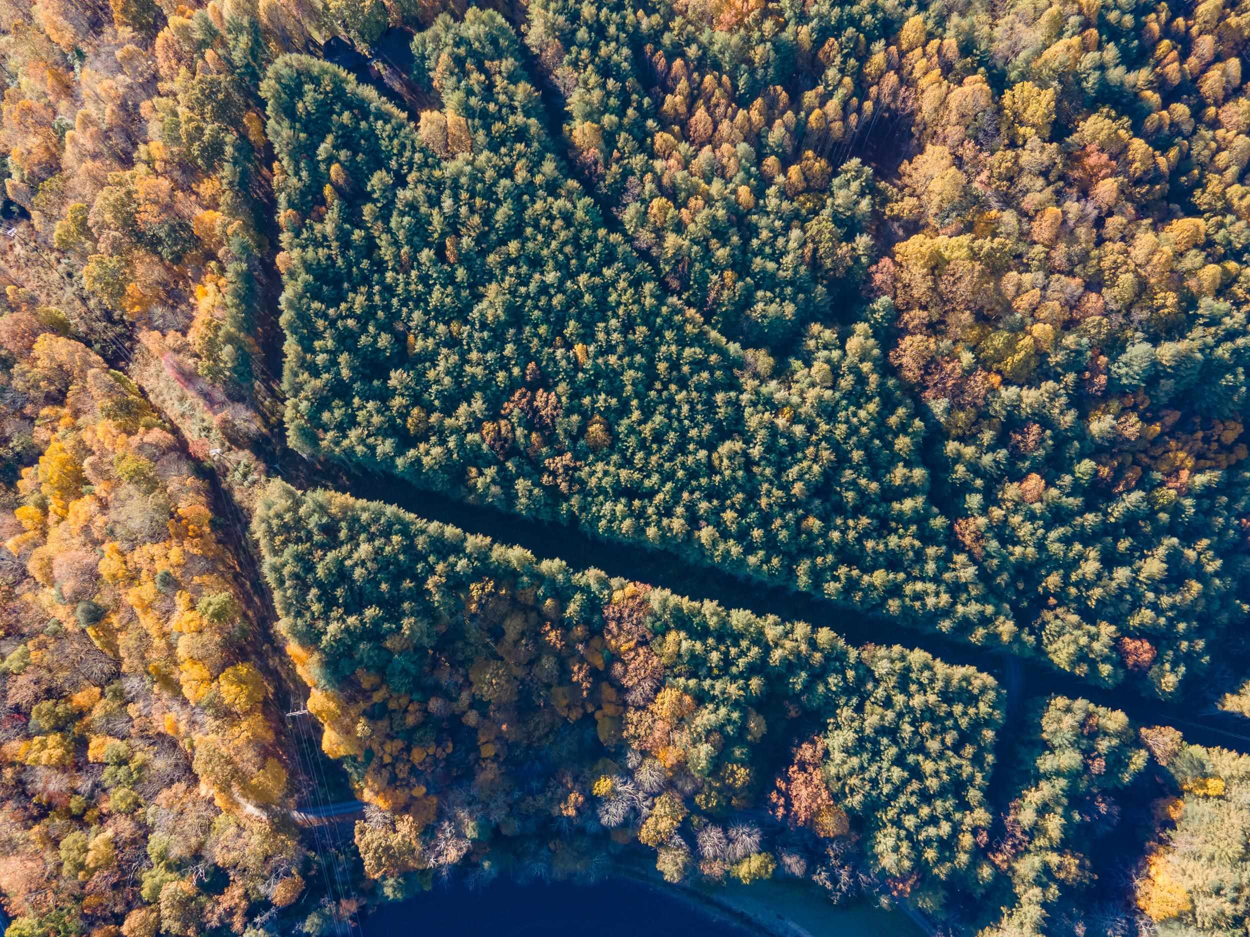 305 Mulberry Lane Mouth Of Wilson VA 24363