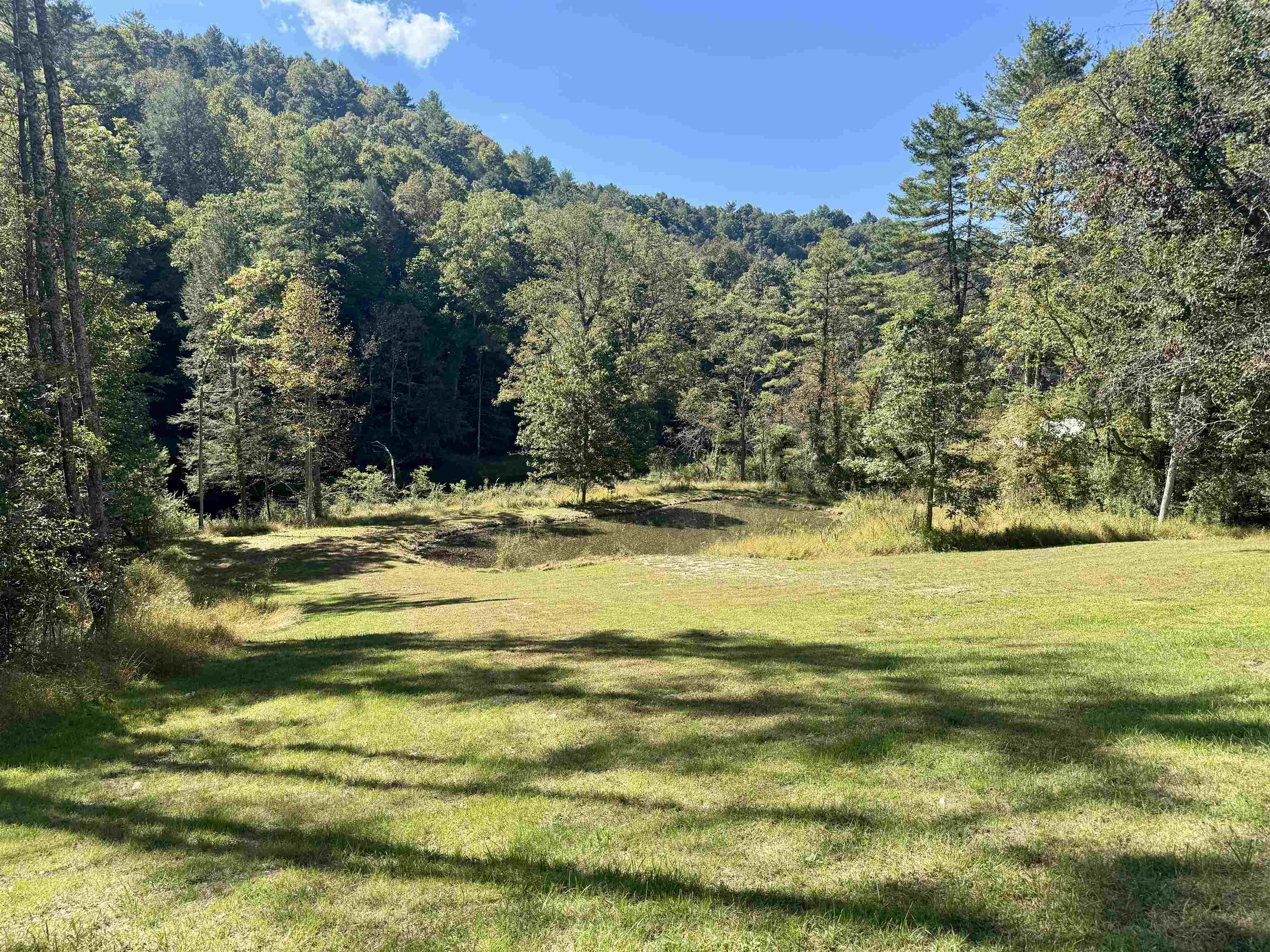 2331 Pot Rock Road Woodlawn VA 24381