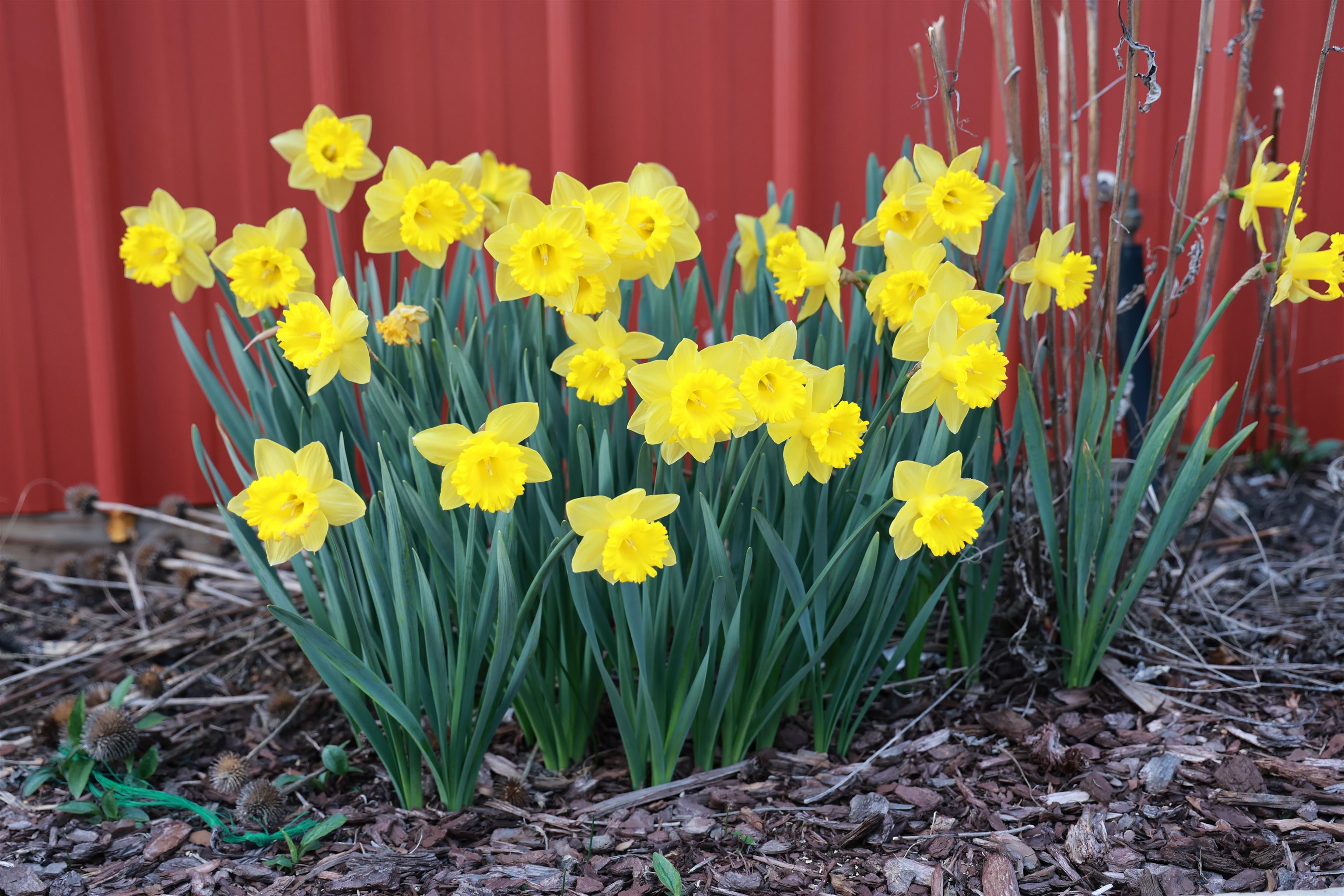 1140 Powder Mill Road Ivanhoe VA 24350