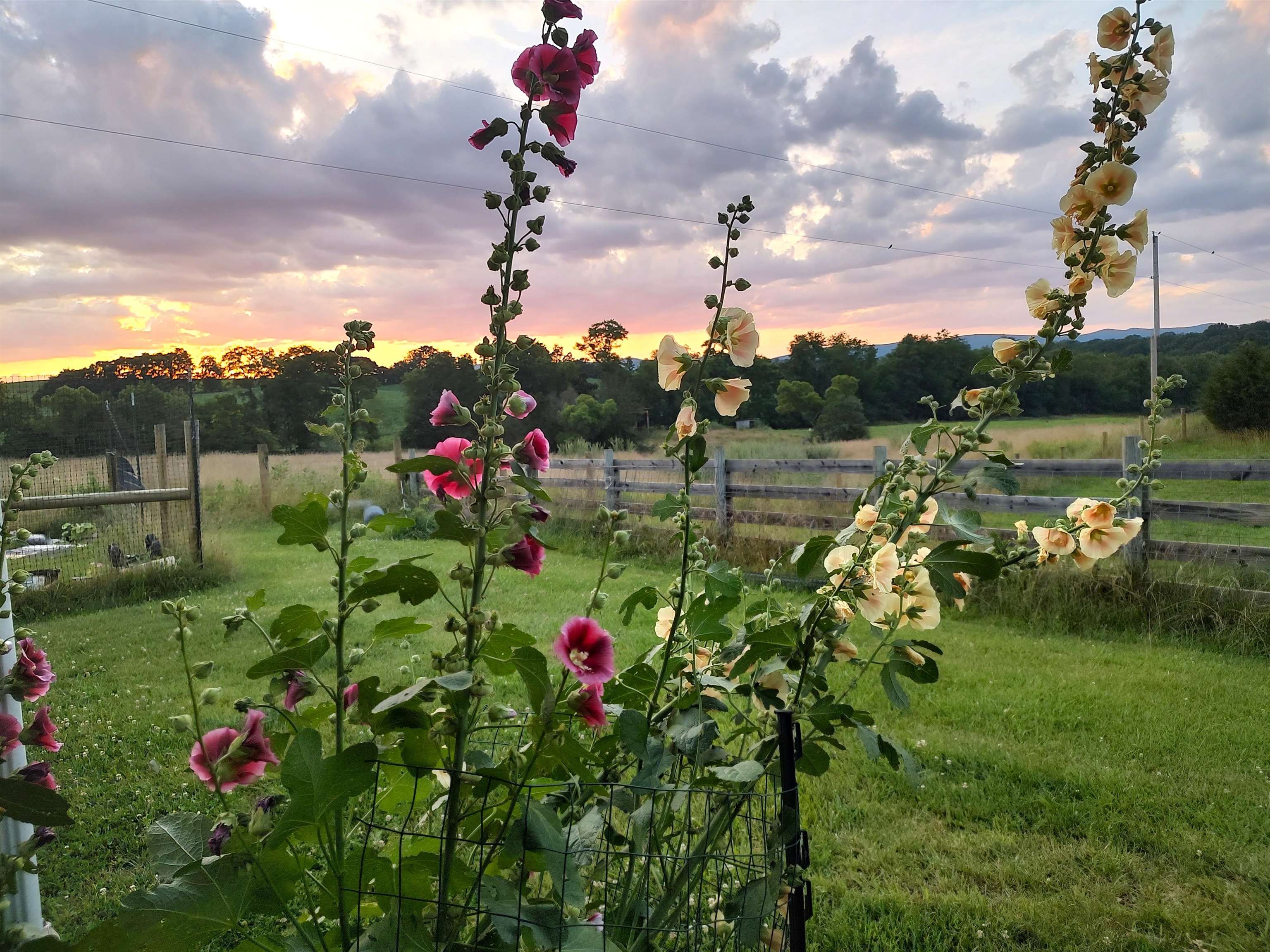 1140 Powder Mill Road Ivanhoe VA 24350