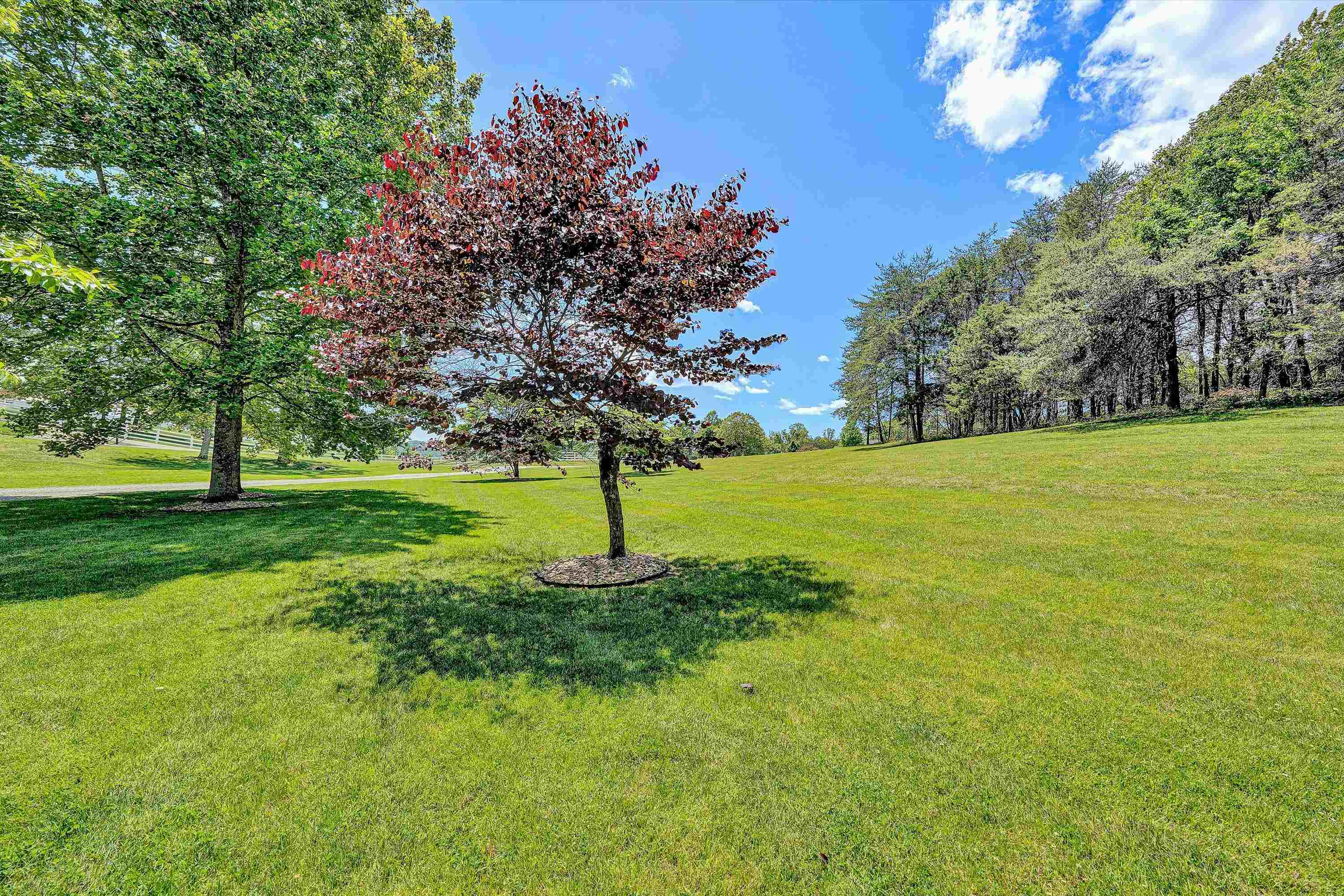 120 Stonelea Drive Troutville VA 24175