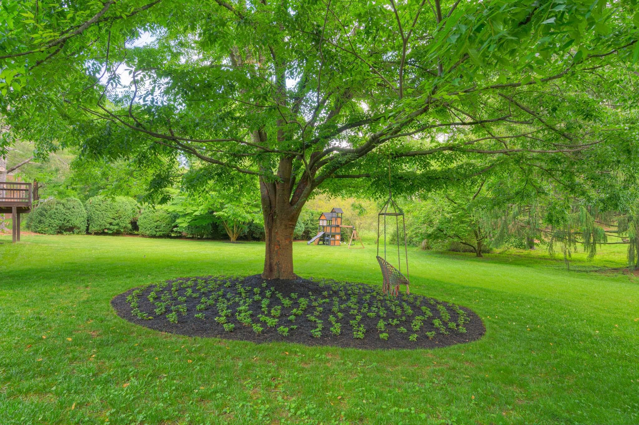 914 Mason Drive Blacksburg VA 24060