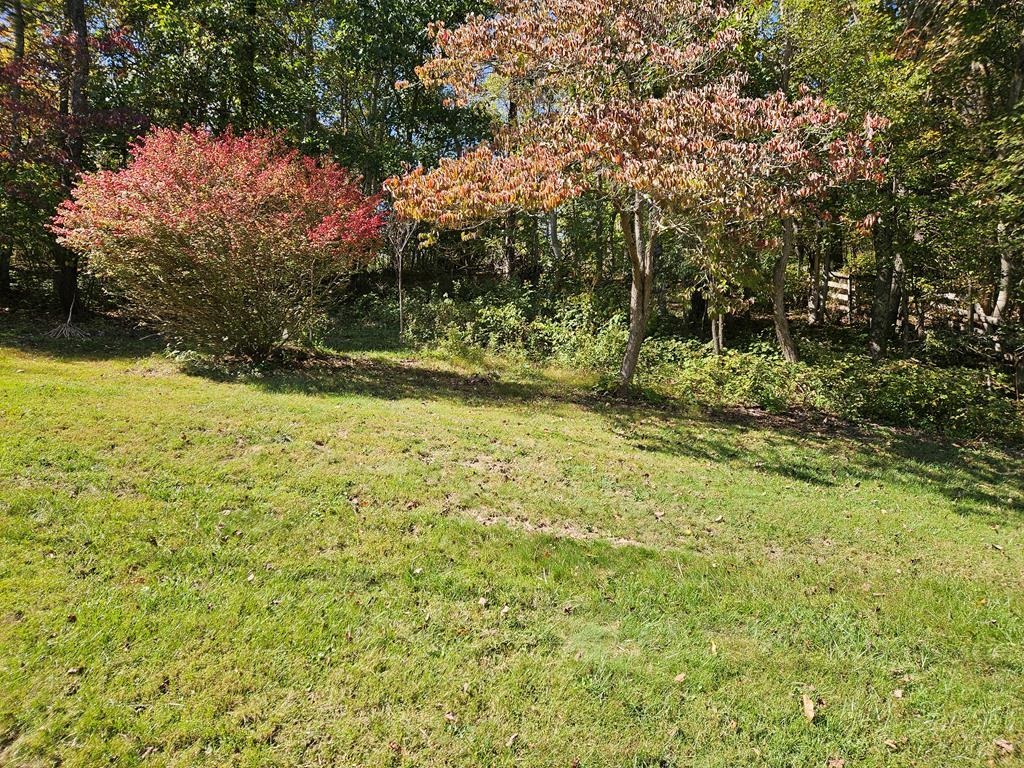 3335 Old Route 100 Road Pulaski VA 24301