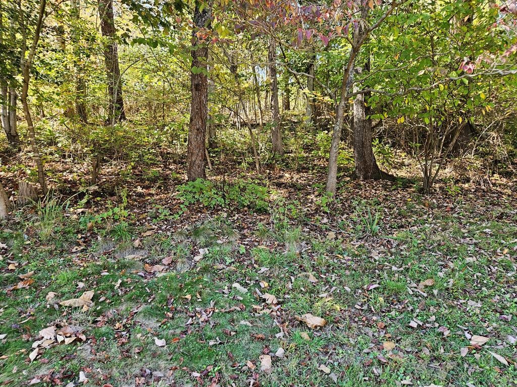 3335 Old Route 100 Road Pulaski VA 24301