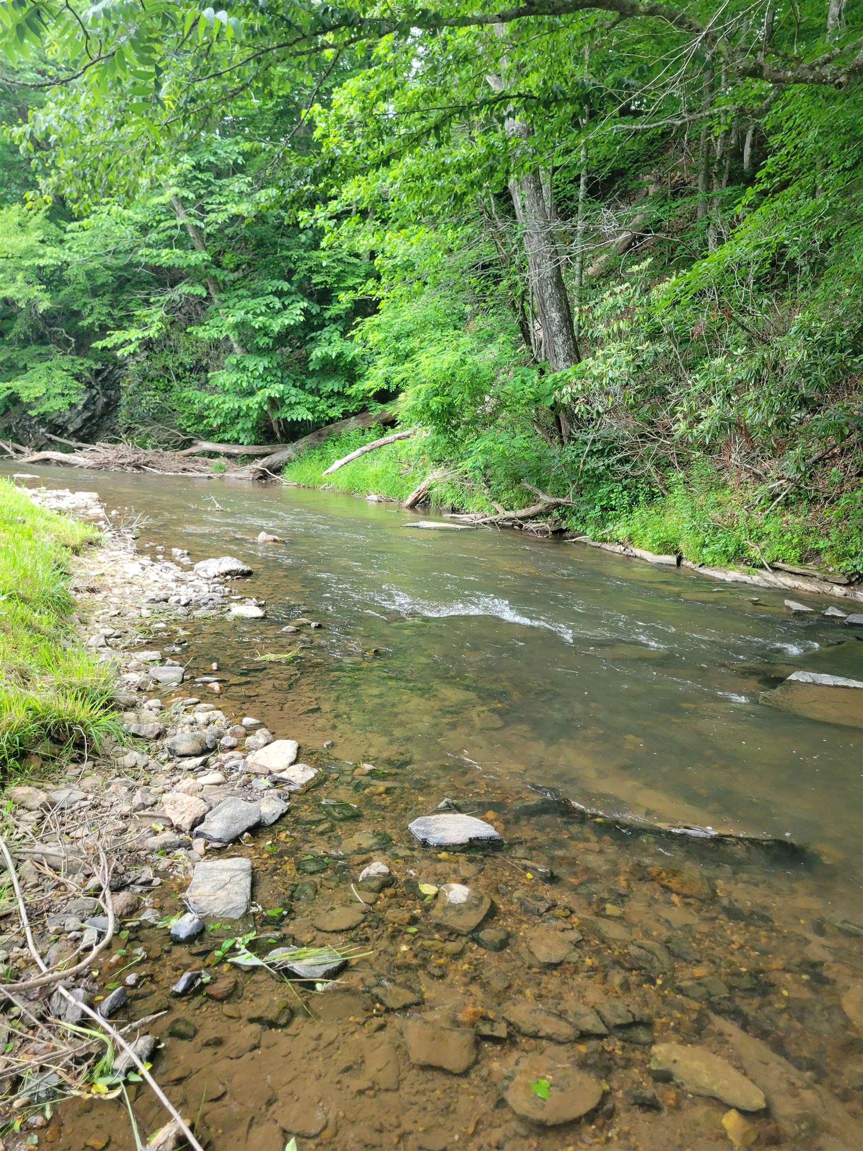 3173 Poplar Hill Drive Dugspur VA 24325