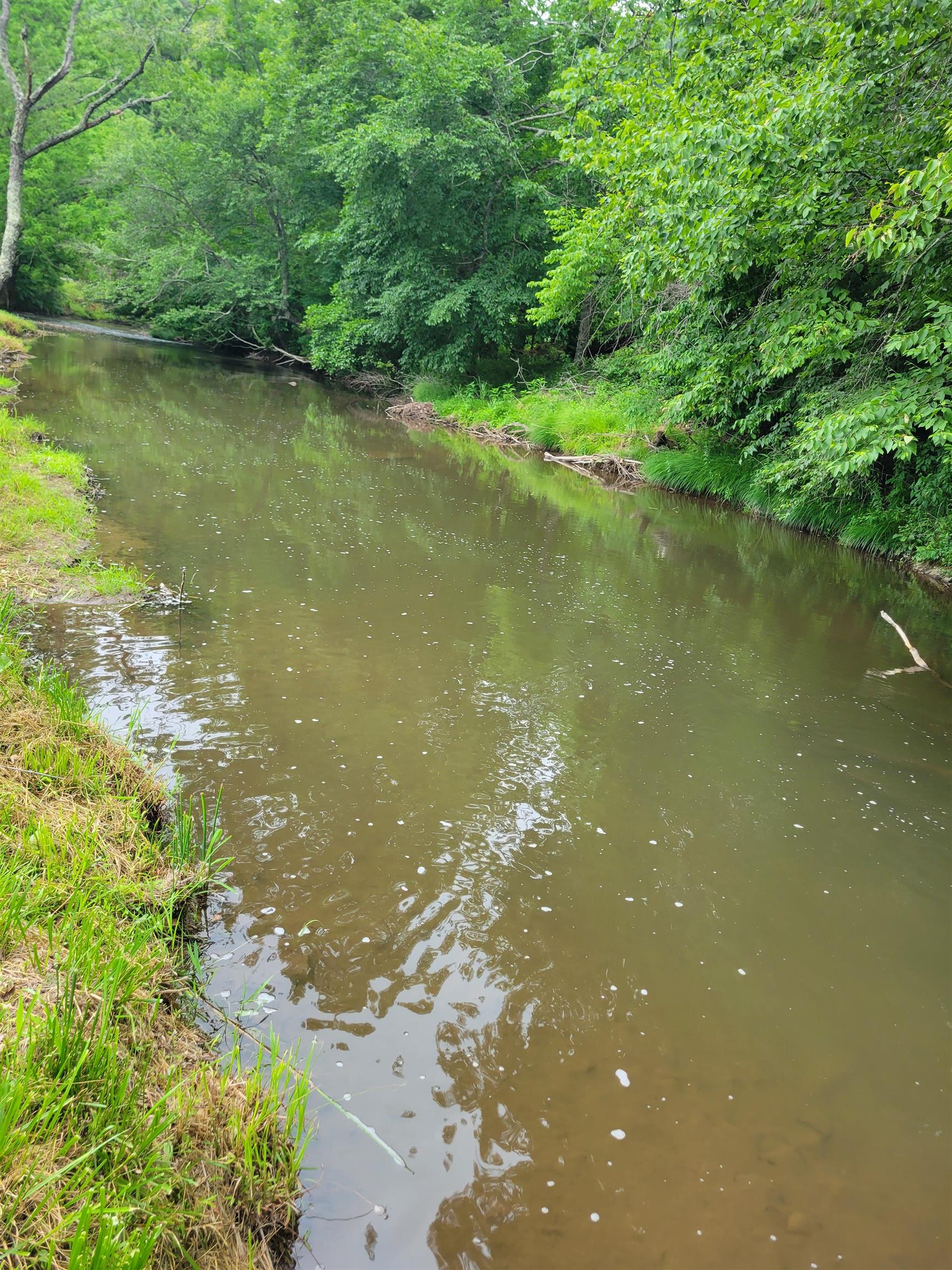 3173 Poplar Hill Drive Dugspur VA 24325