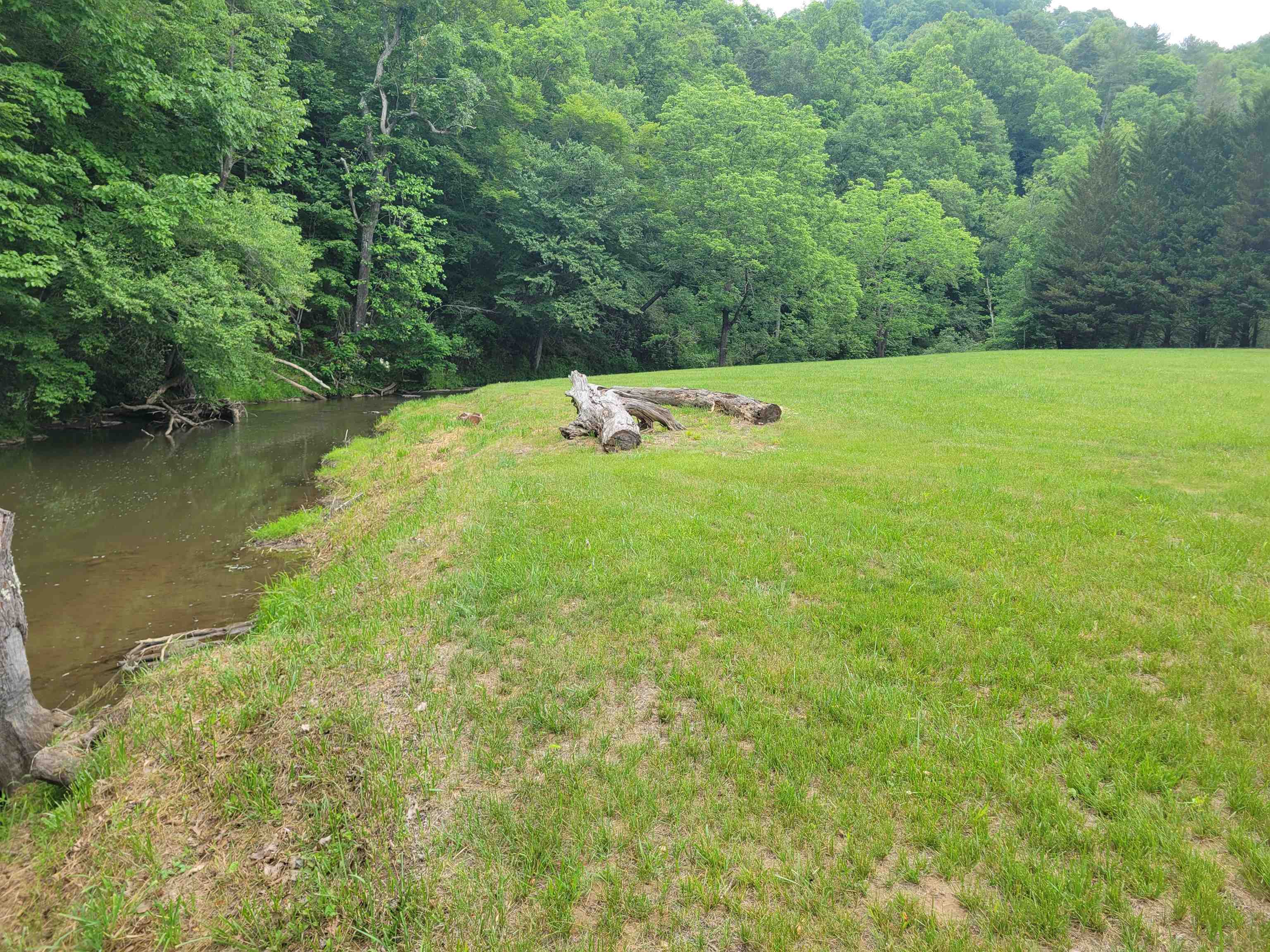 3173 Poplar Hill Drive Dugspur VA 24325