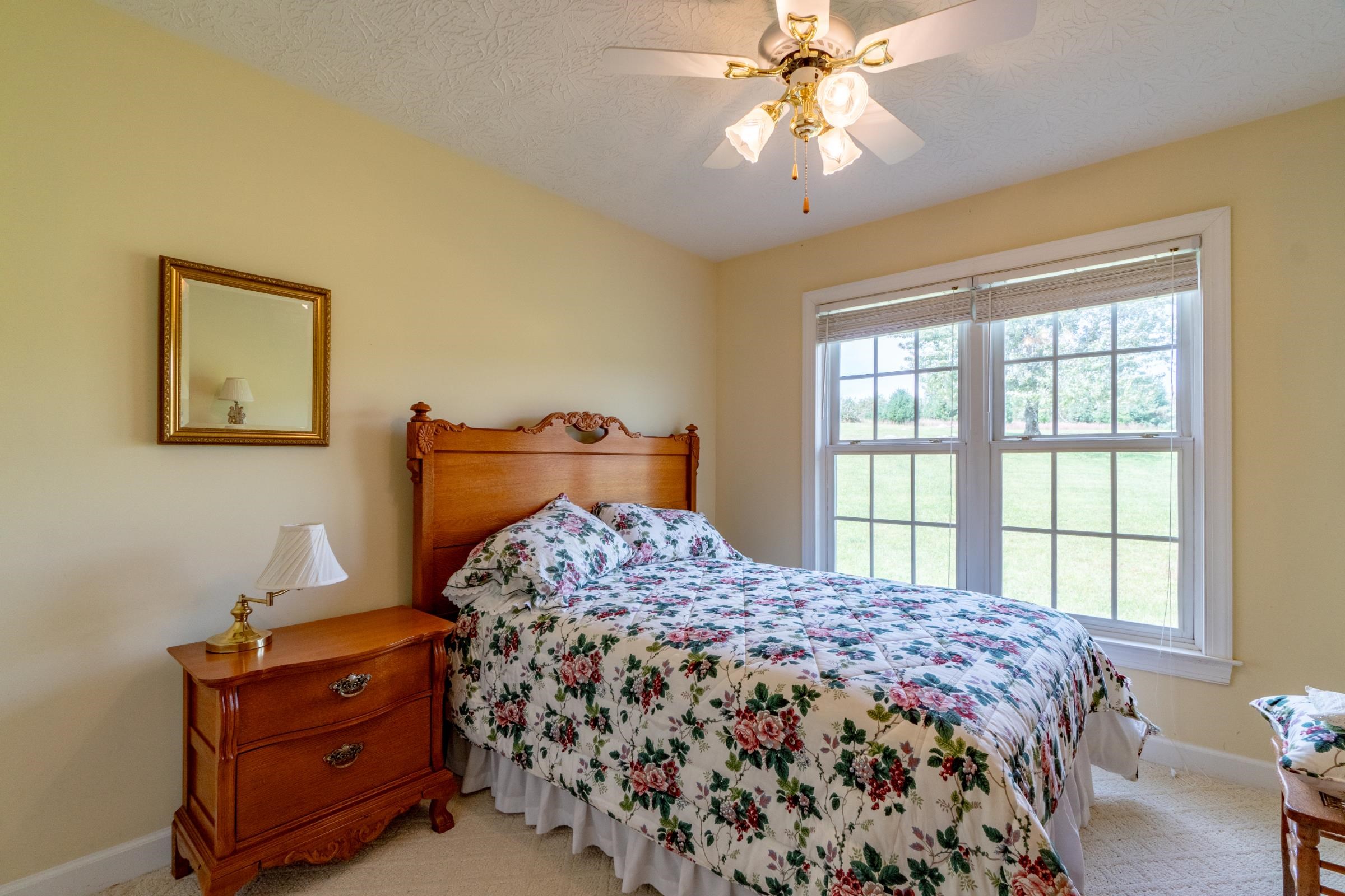 217 Alpine Ridge Lane Meadows Of Dan VA 24120