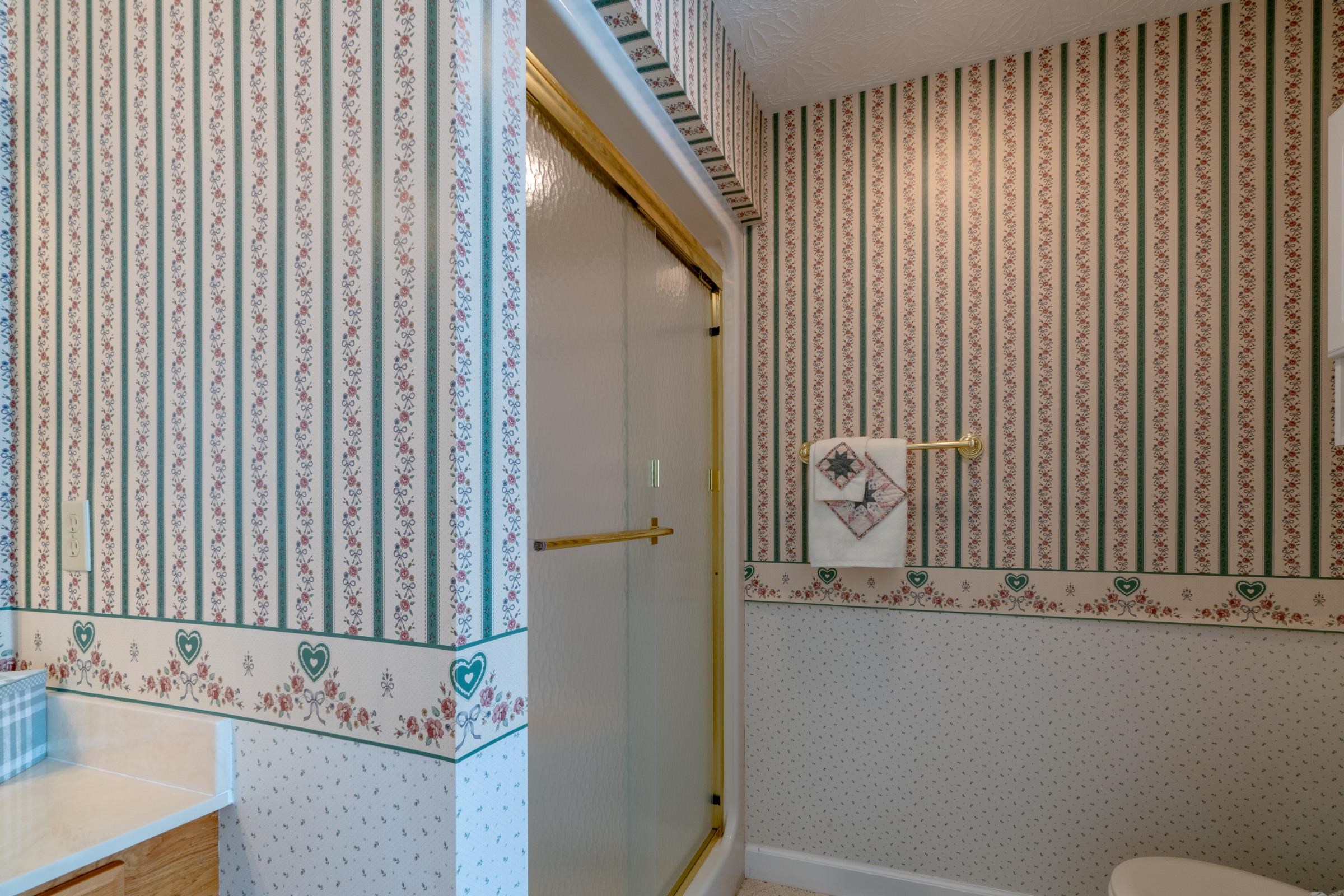 217 Alpine Ridge Lane Meadows Of Dan VA 24120