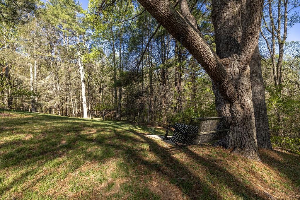 171 Danville Pike Road SW Meadows Of Dan VA 24120