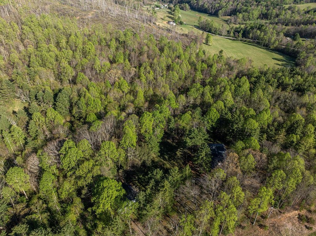 171 Danville Pike Road SW Meadows Of Dan VA 24120