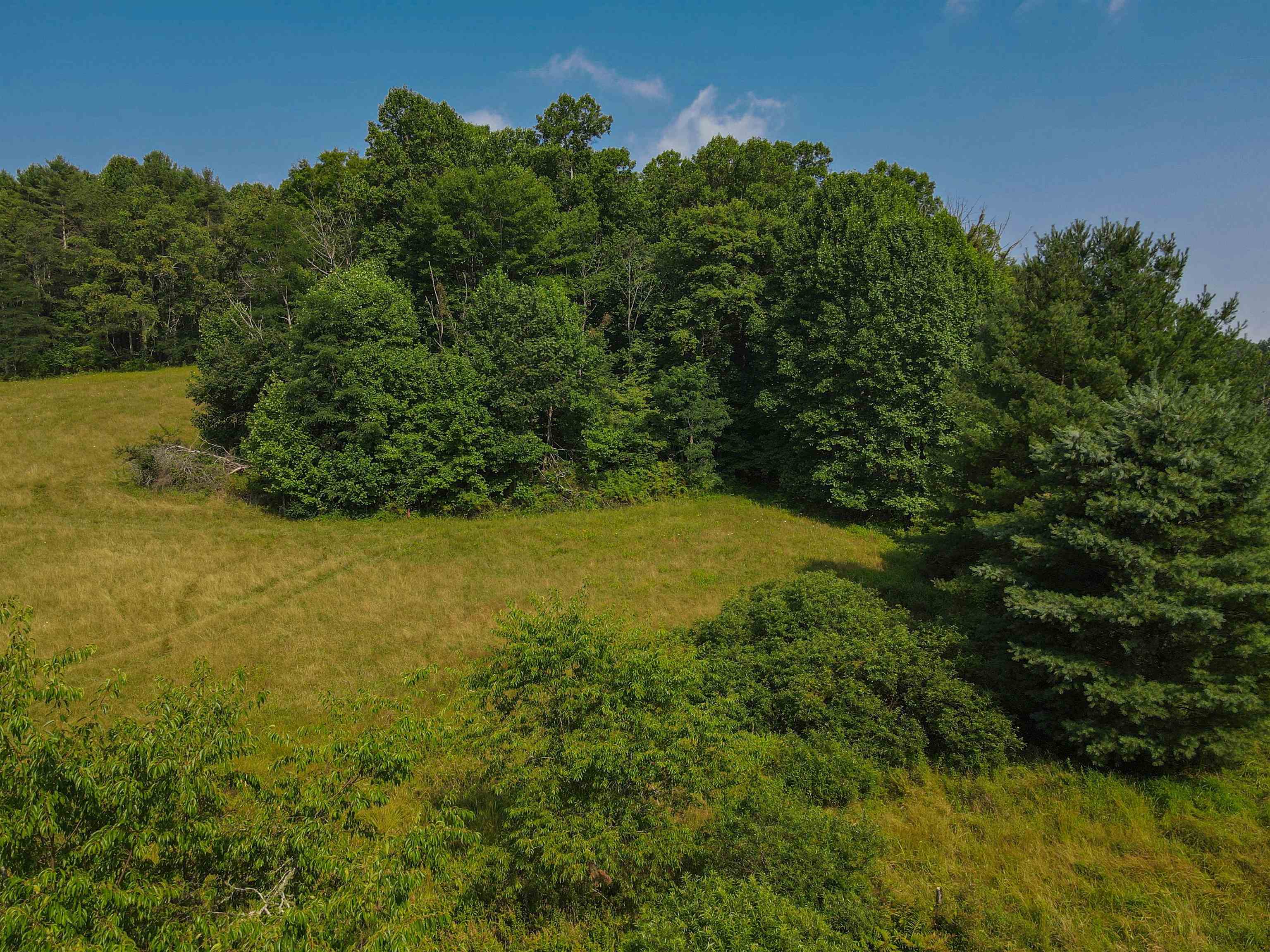 878 Sugar Tree Road SW Willis VA 24380