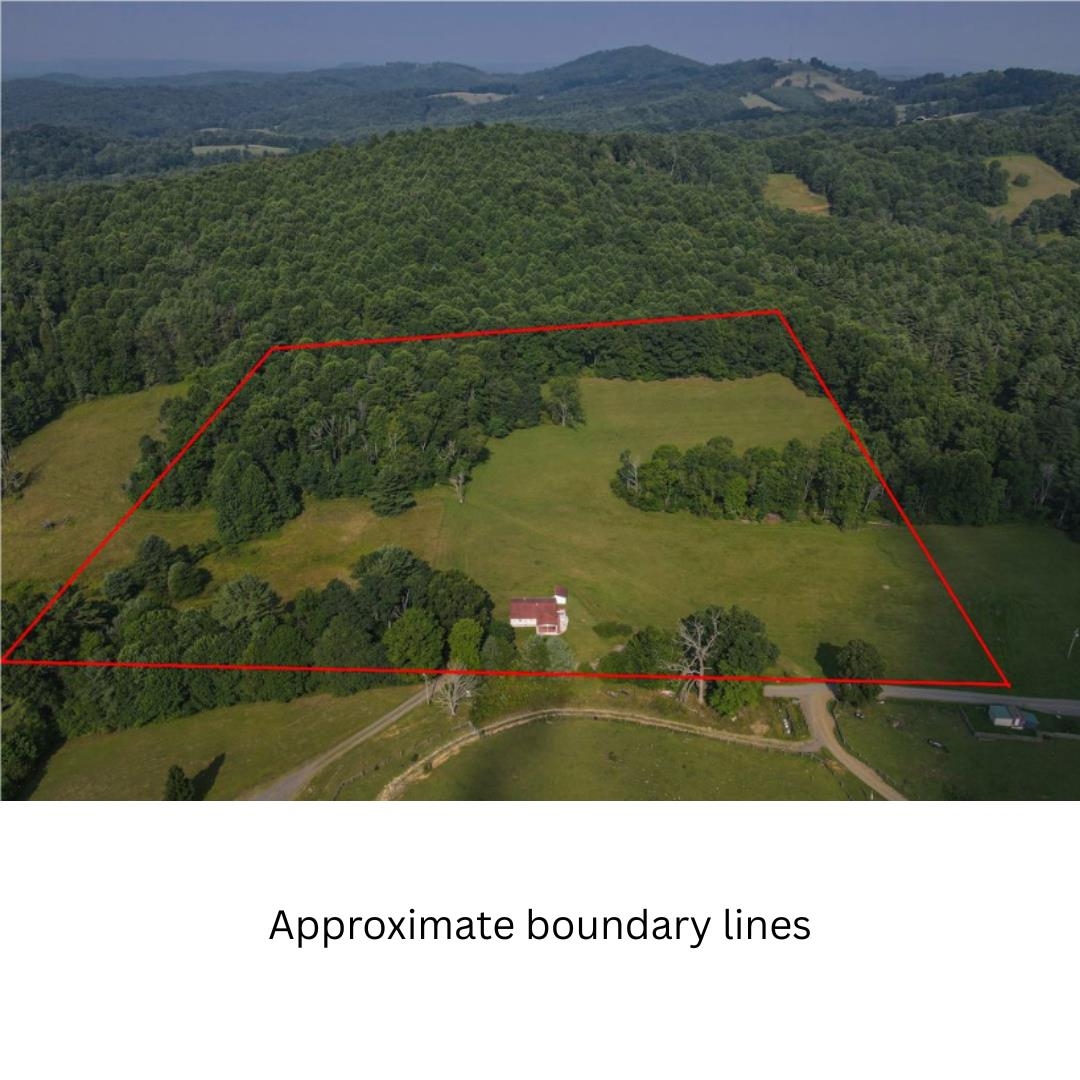 878 Sugar Tree Road SW Willis VA 24380