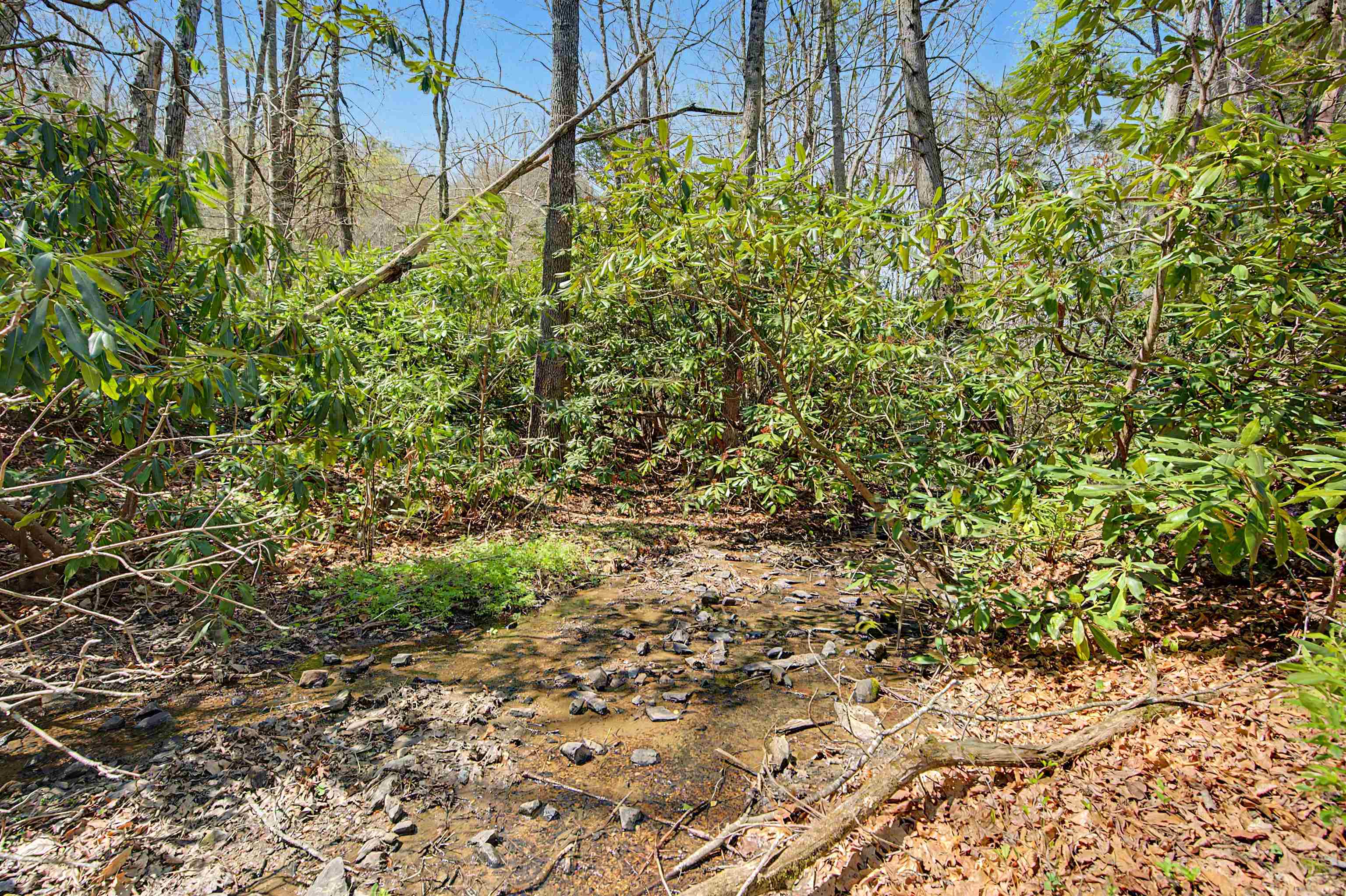 6921 Ivanhoe Road Ivanhoe VA 24350