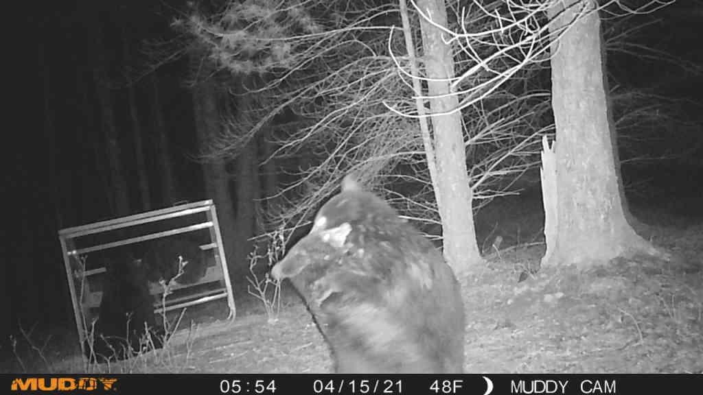 672 Matney Flats Wytheville VA 24382