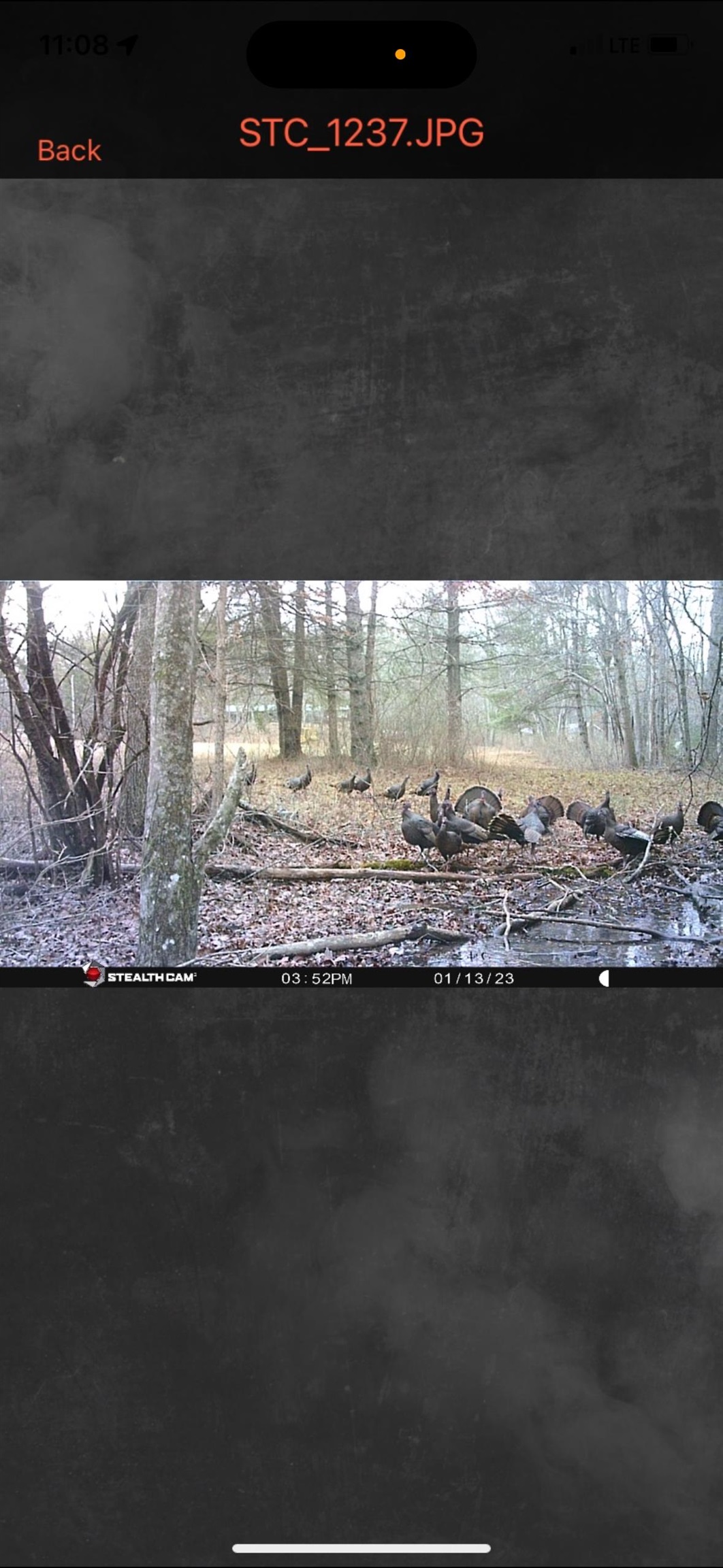 672 Matney Flats Wytheville VA 24382