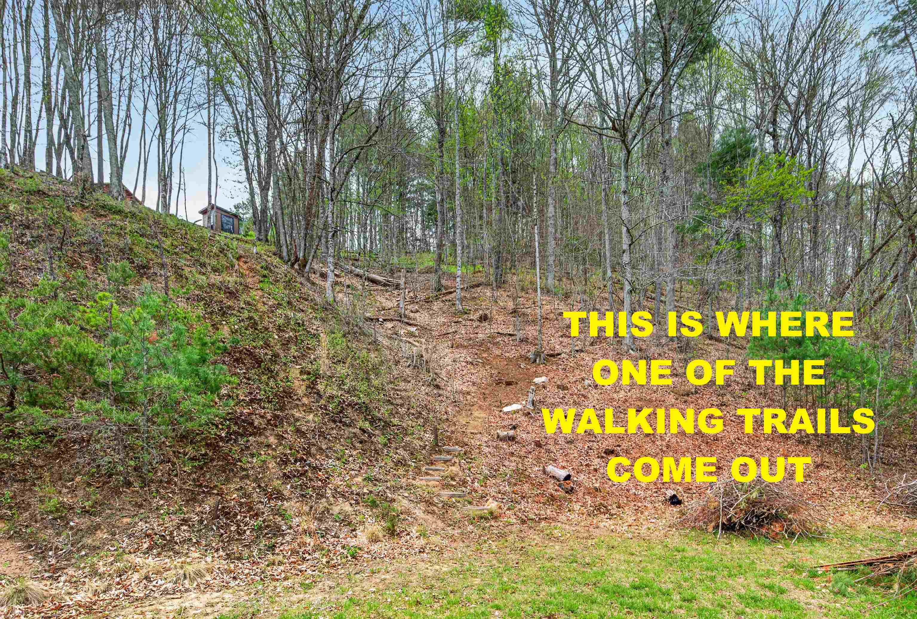 255 Bella Hills Lane Hillsville VA 24343