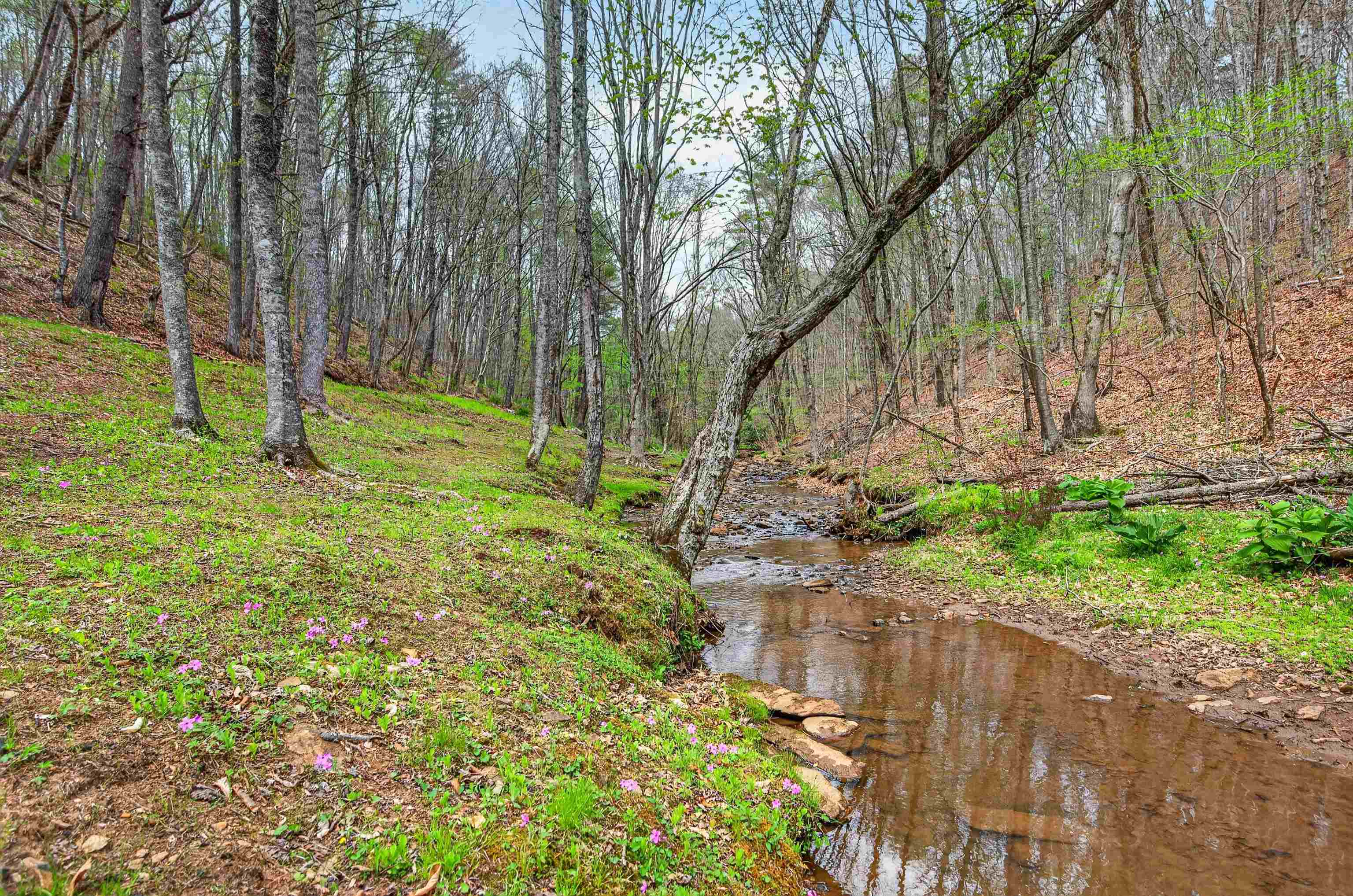 255 Bella Hills Lane Hillsville VA 24343