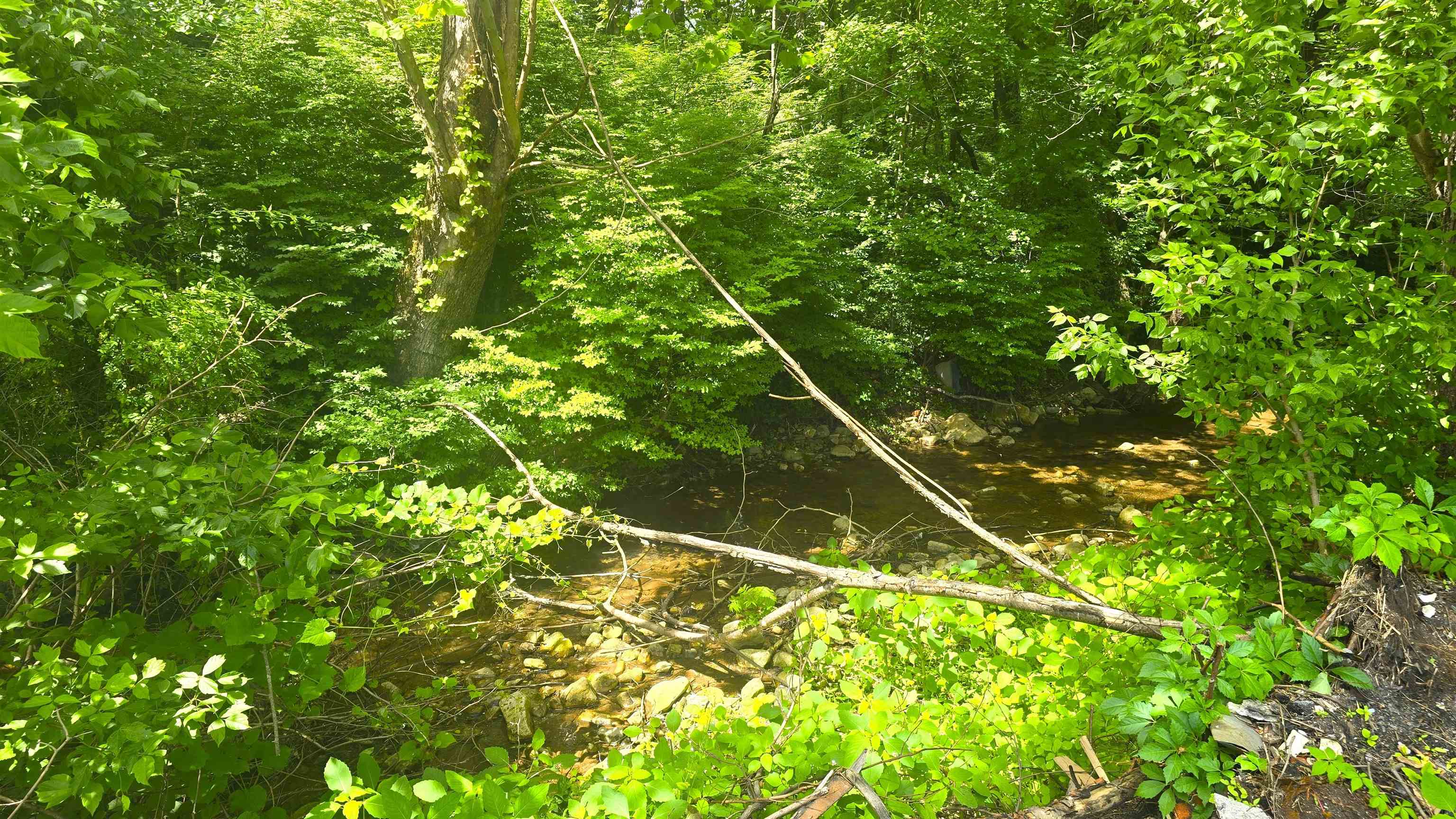 121 Brake Road Elliston VA 24087