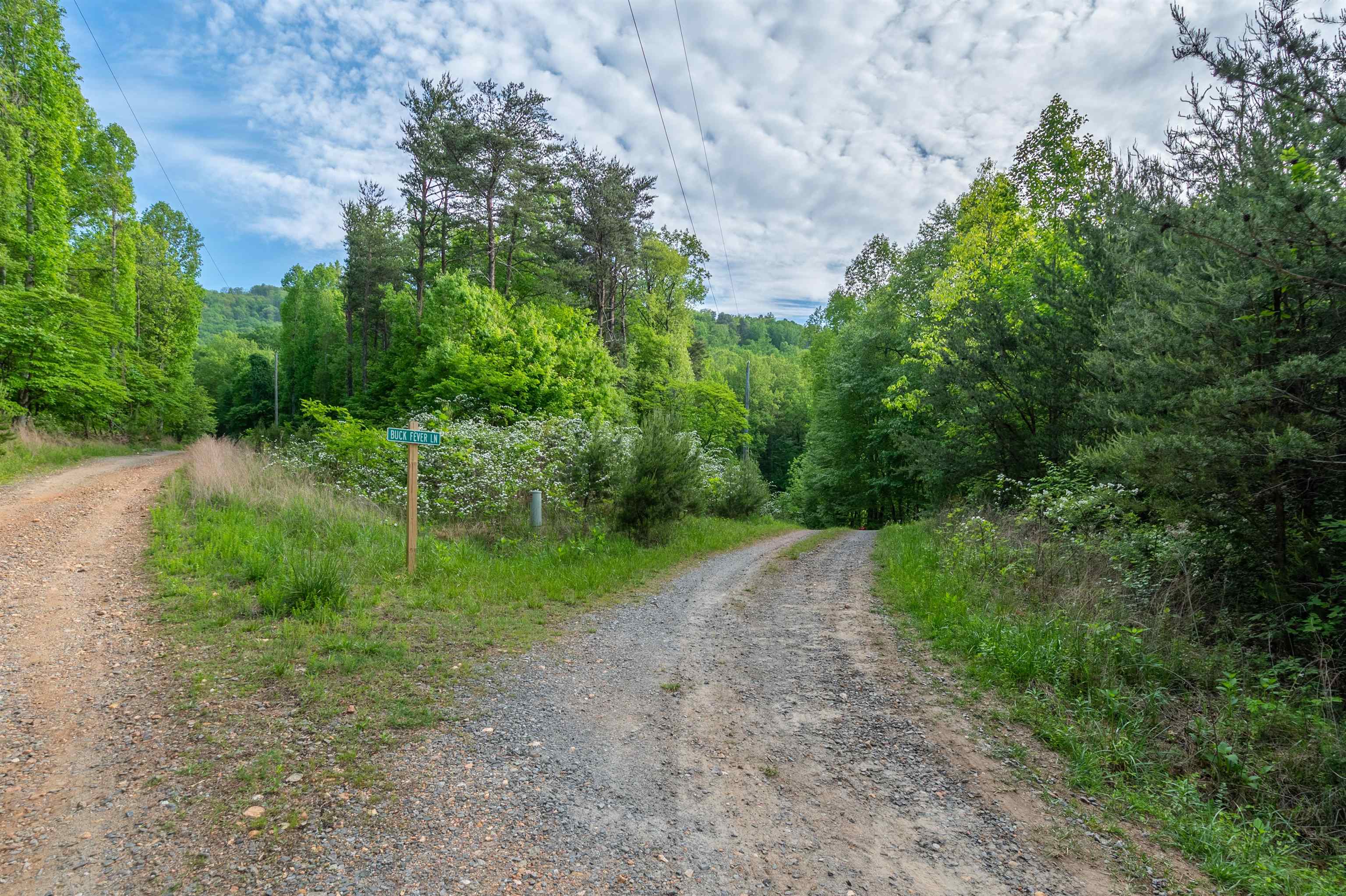 57 Buck Fever Lane Cana VA 24317