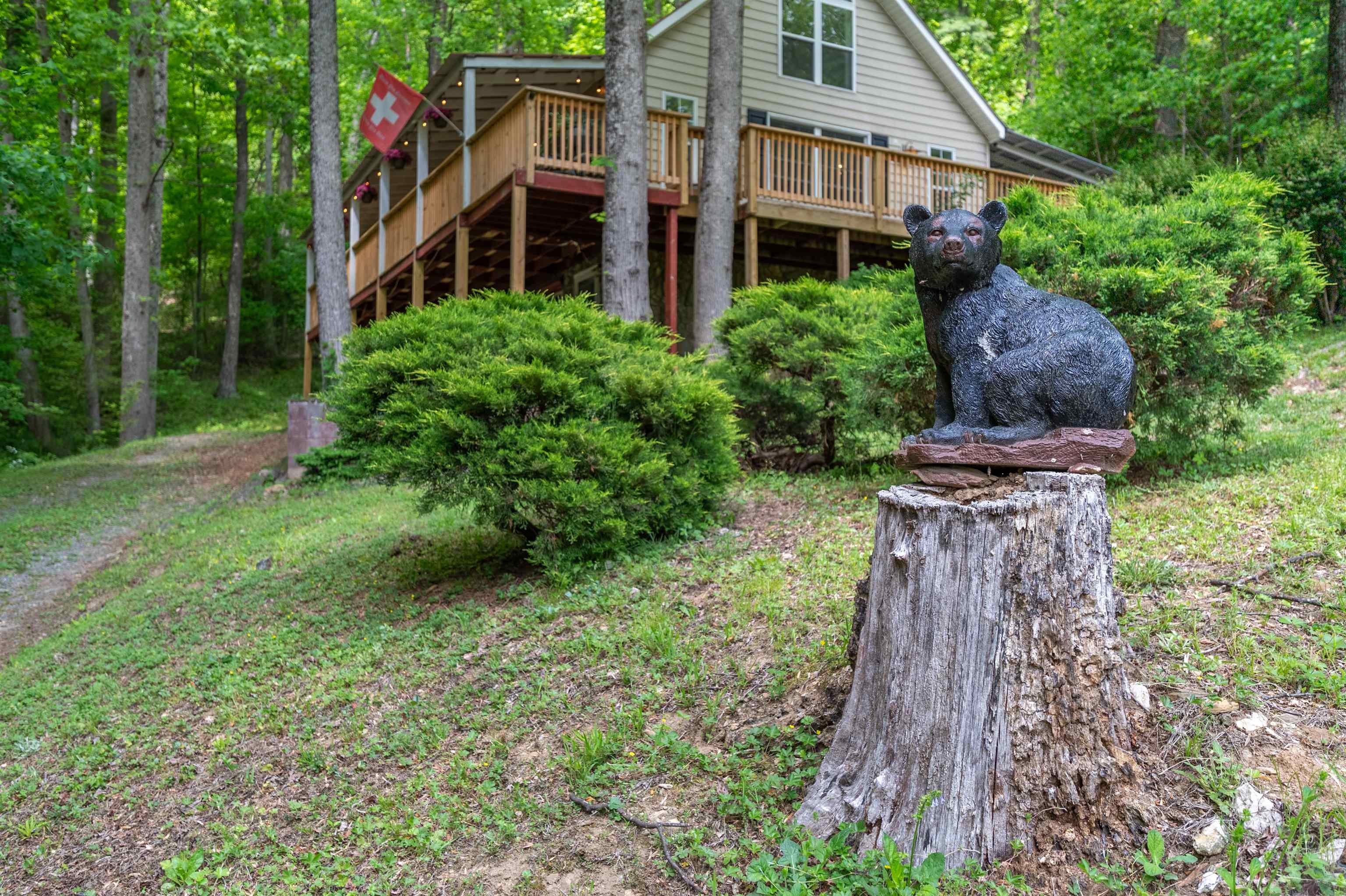 57 Buck Fever Lane Cana VA 24317