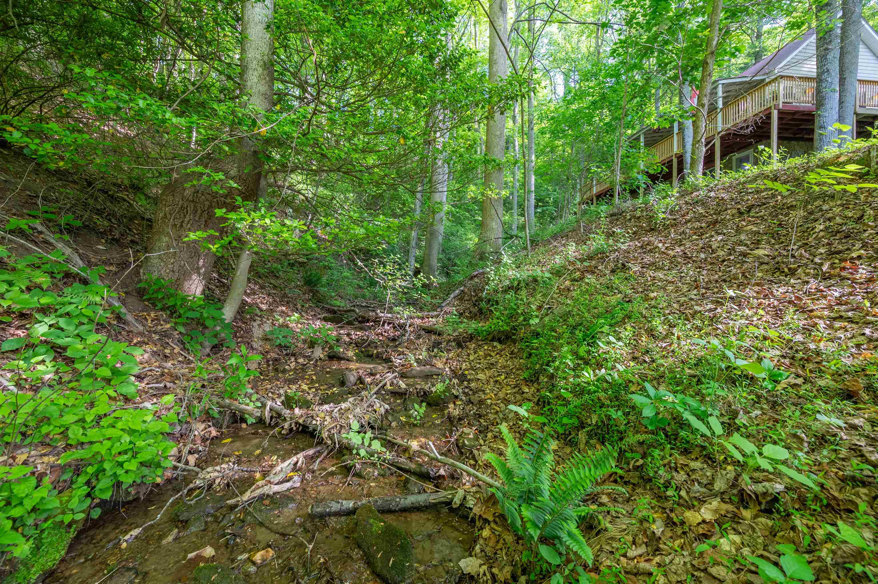 57 Buck Fever Lane Cana VA 24317