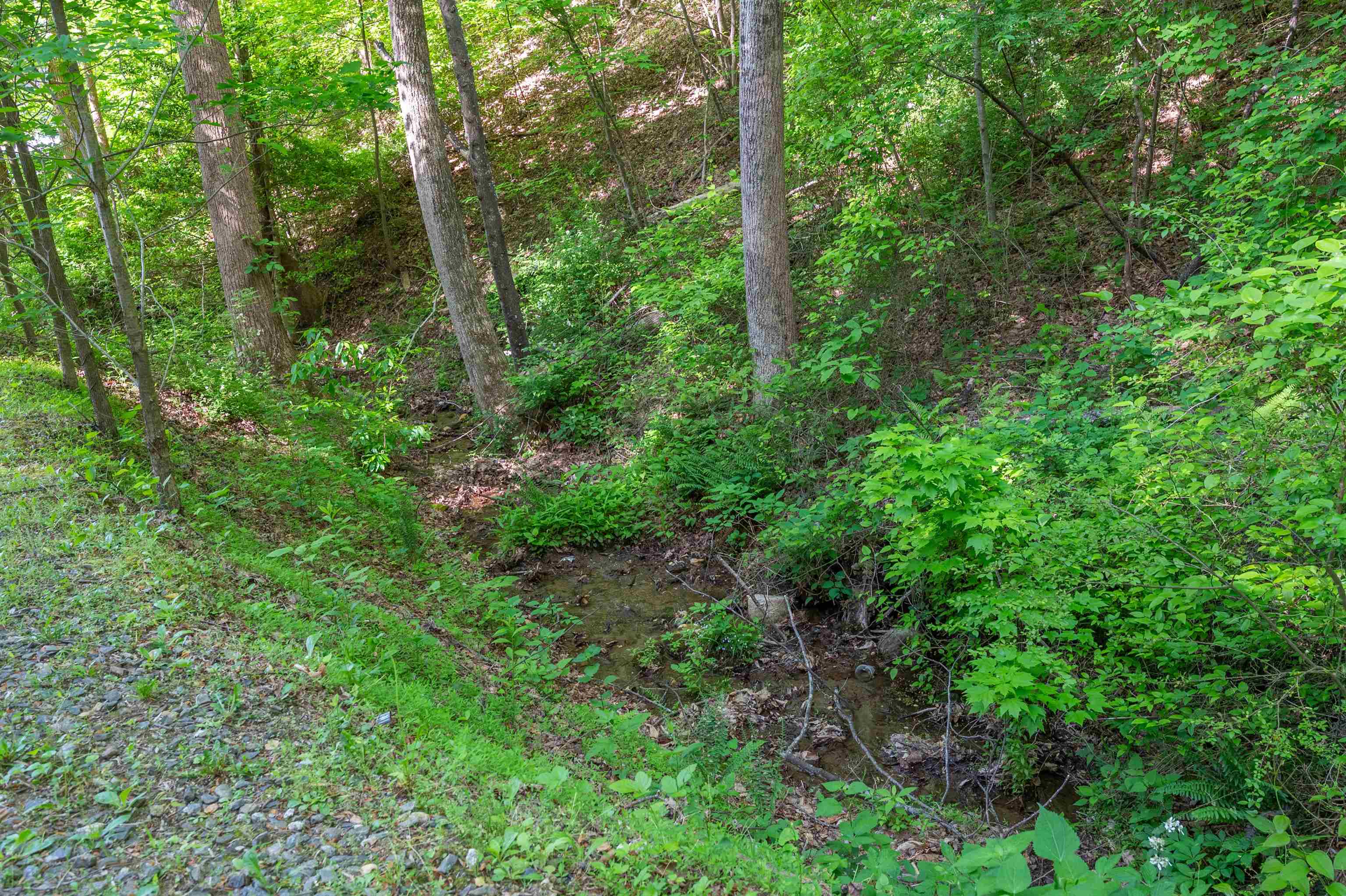 57 Buck Fever Lane Cana VA 24317