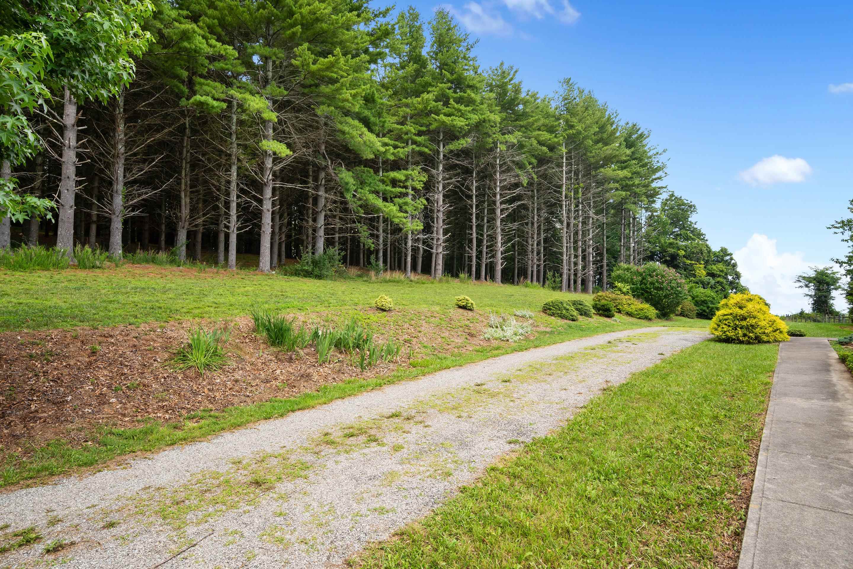 494 Soapstone Hill Road Floyd VA 24091