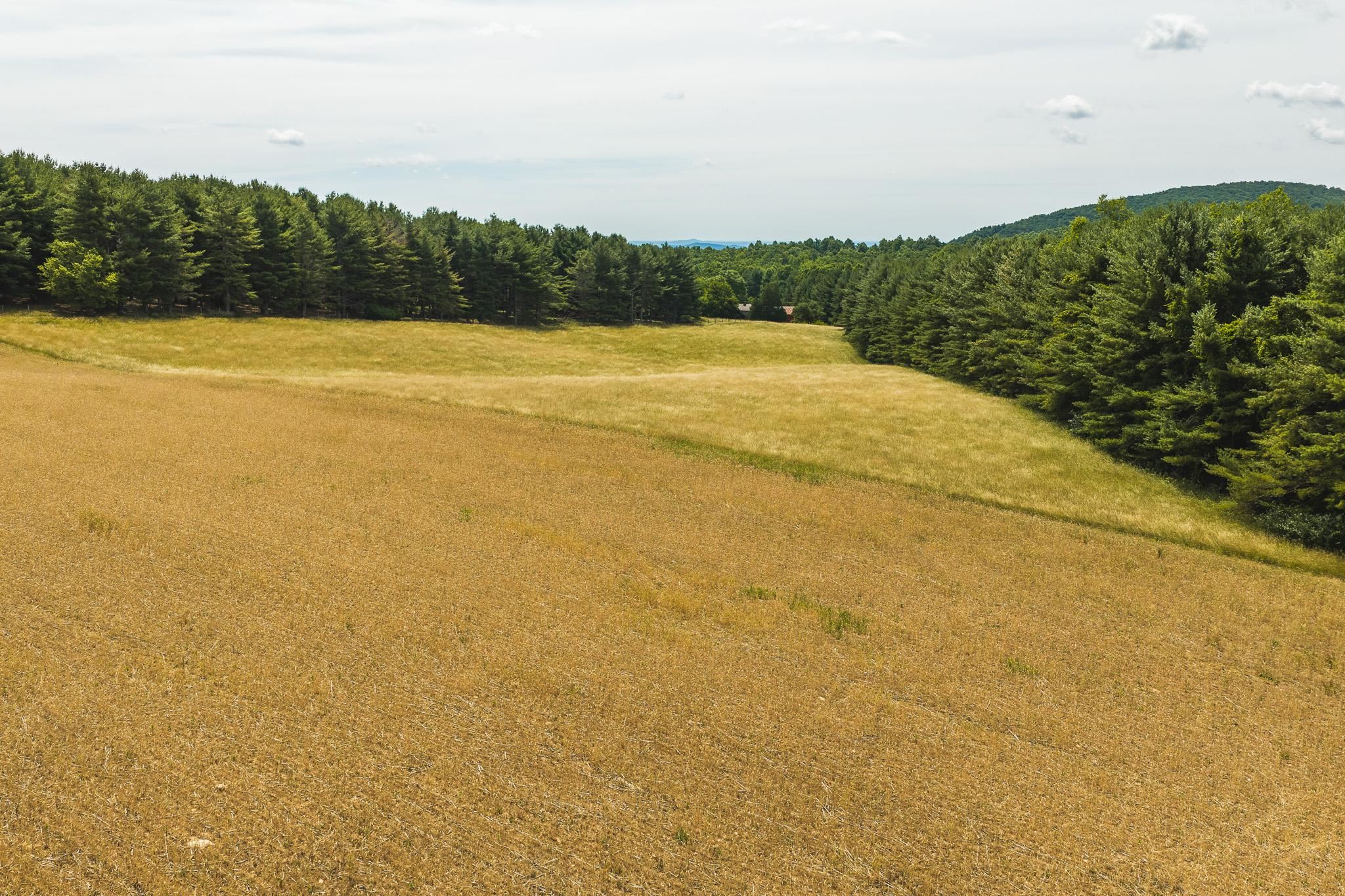 494 Soapstone Hill Road Floyd VA 24091