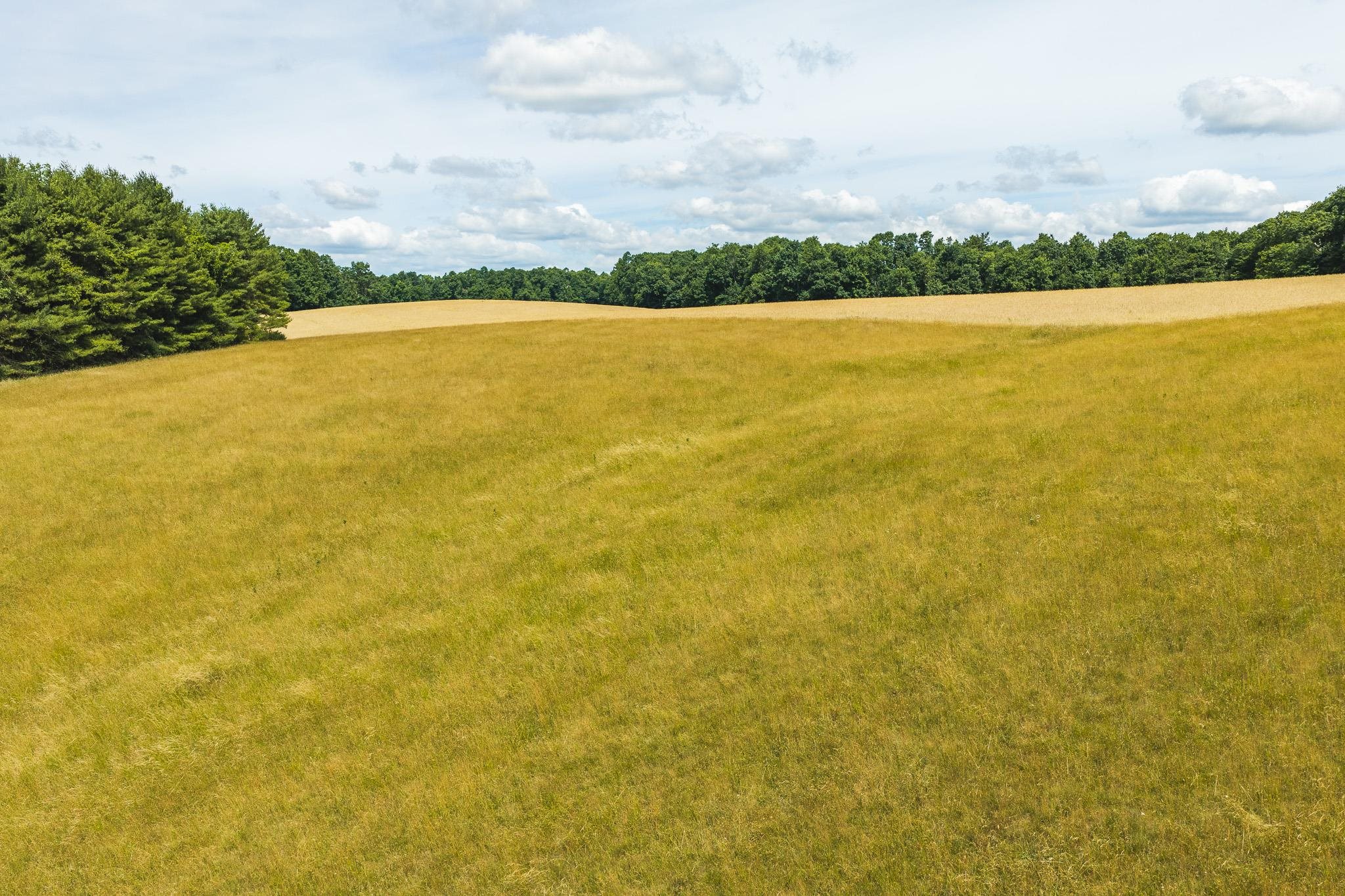 494 Soapstone Hill Road Floyd VA 24091