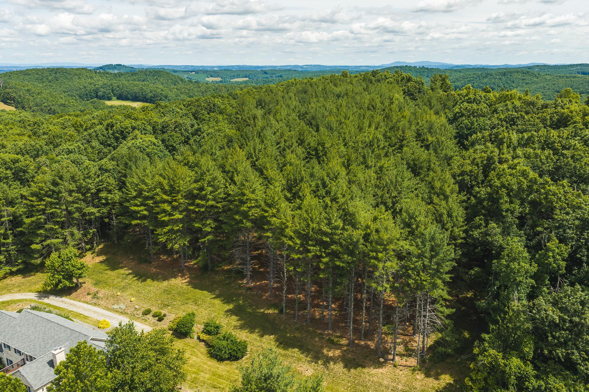 494 Soapstone Hill Road Floyd VA 24091