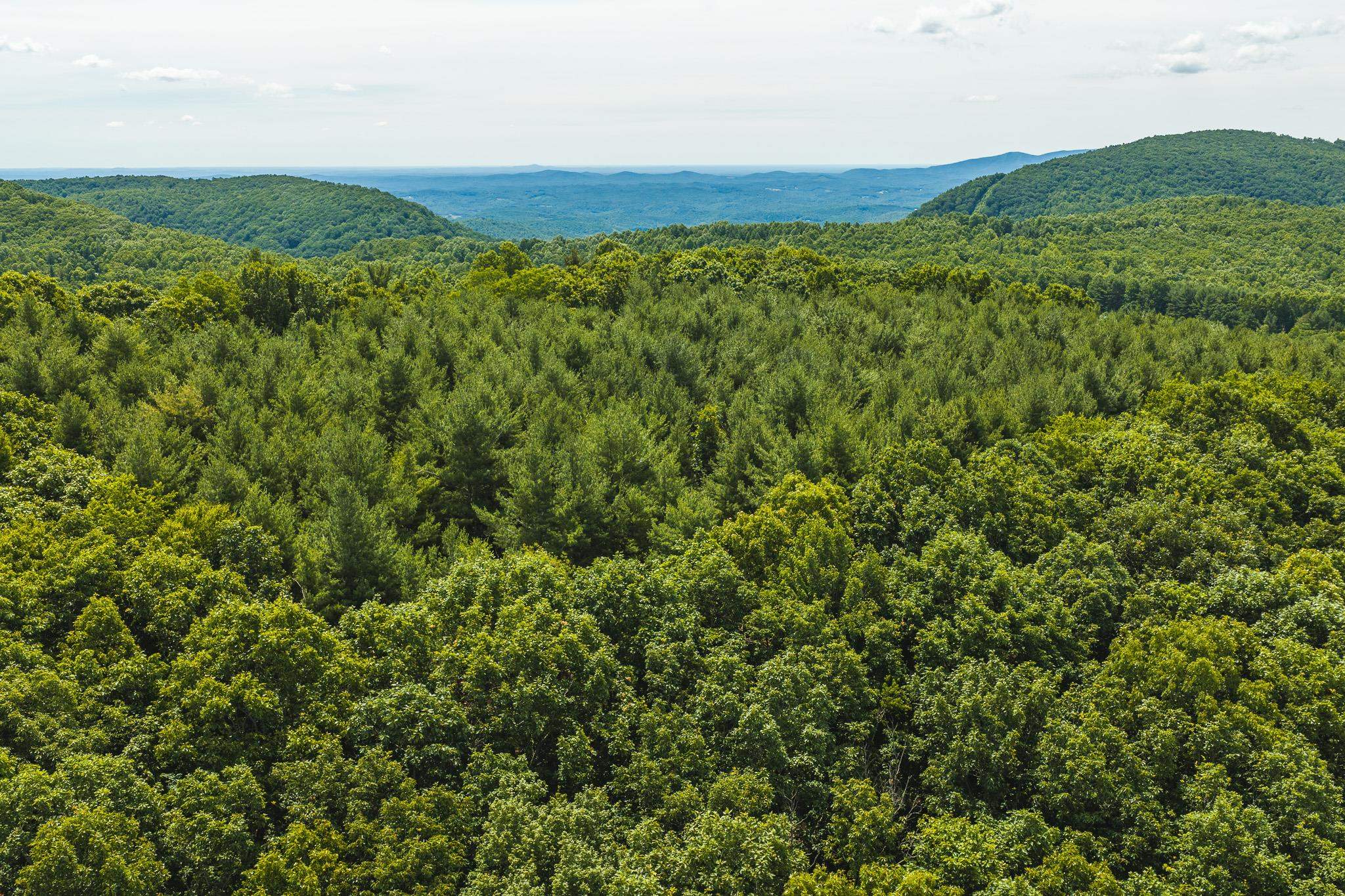 494 Soapstone Hill Road Floyd VA 24091