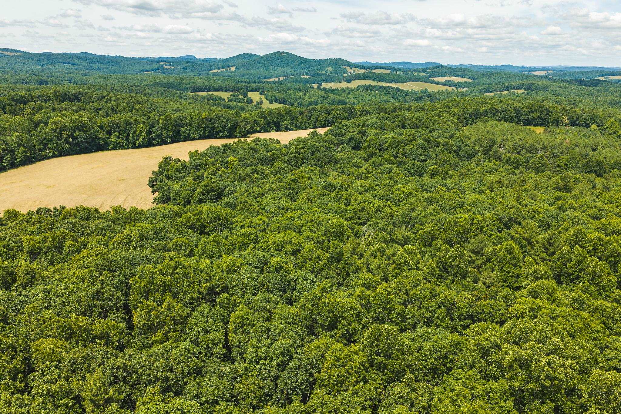 494 Soapstone Hill Road Floyd VA 24091