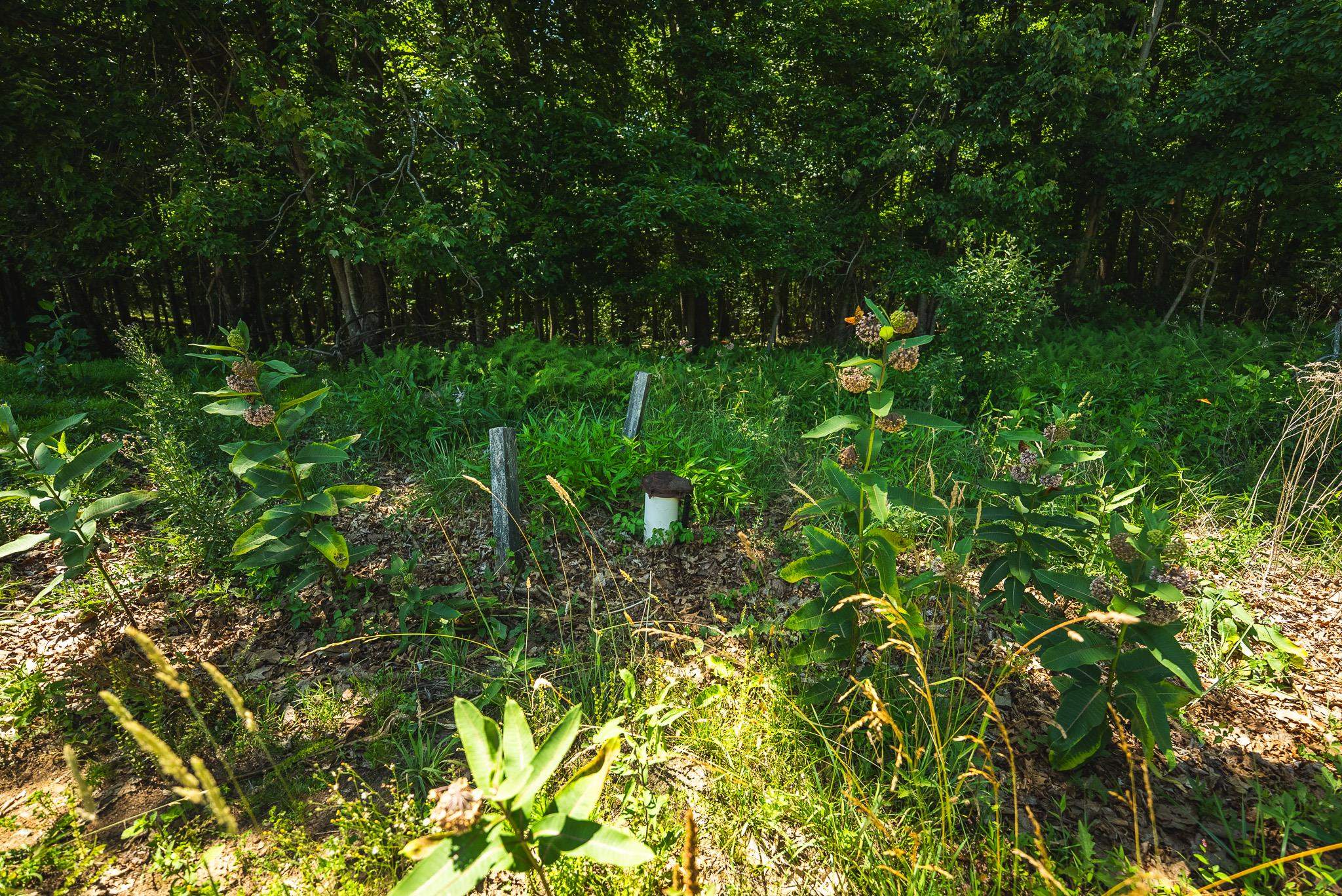 494 Soapstone Hill Road Floyd VA 24091