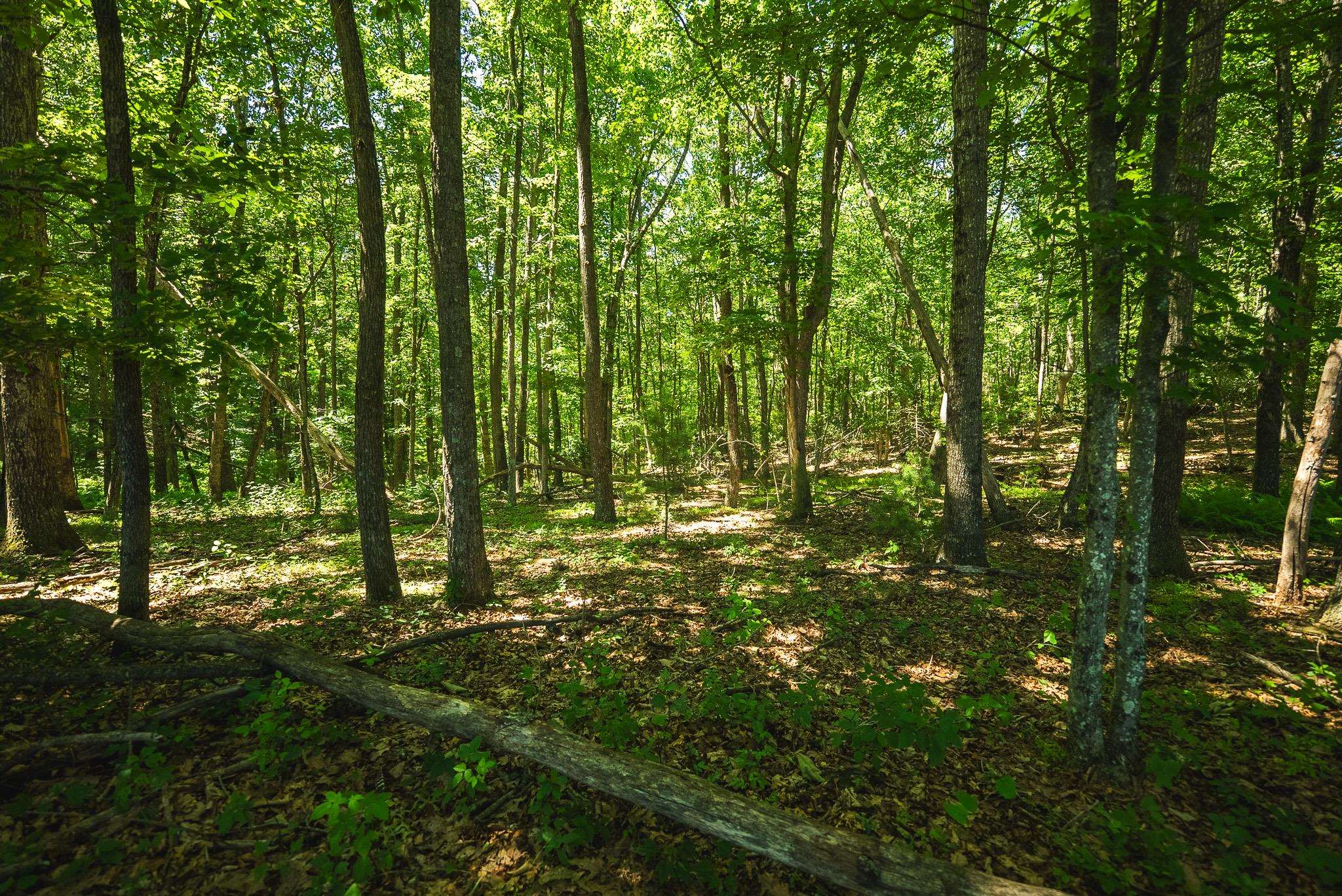 494 Soapstone Hill Road Floyd VA 24091