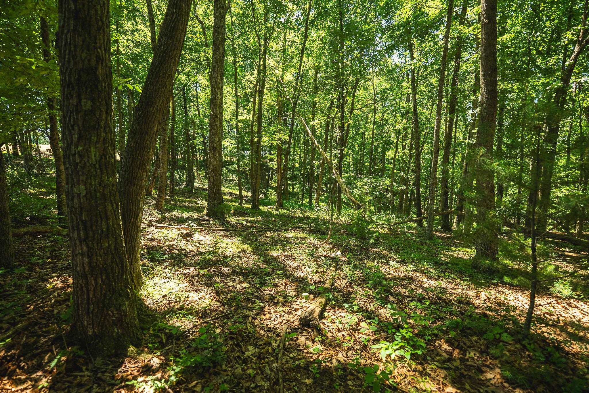 494 Soapstone Hill Road Floyd VA 24091