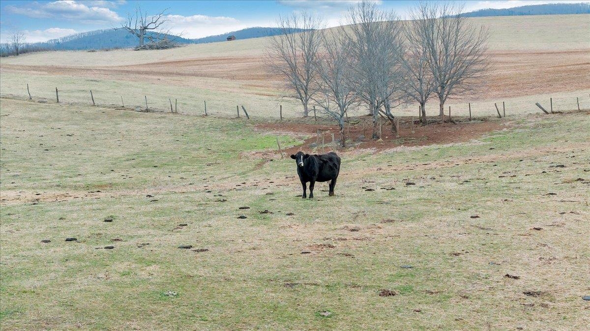 1167 Saint Peters Road Speedwell VA 24374