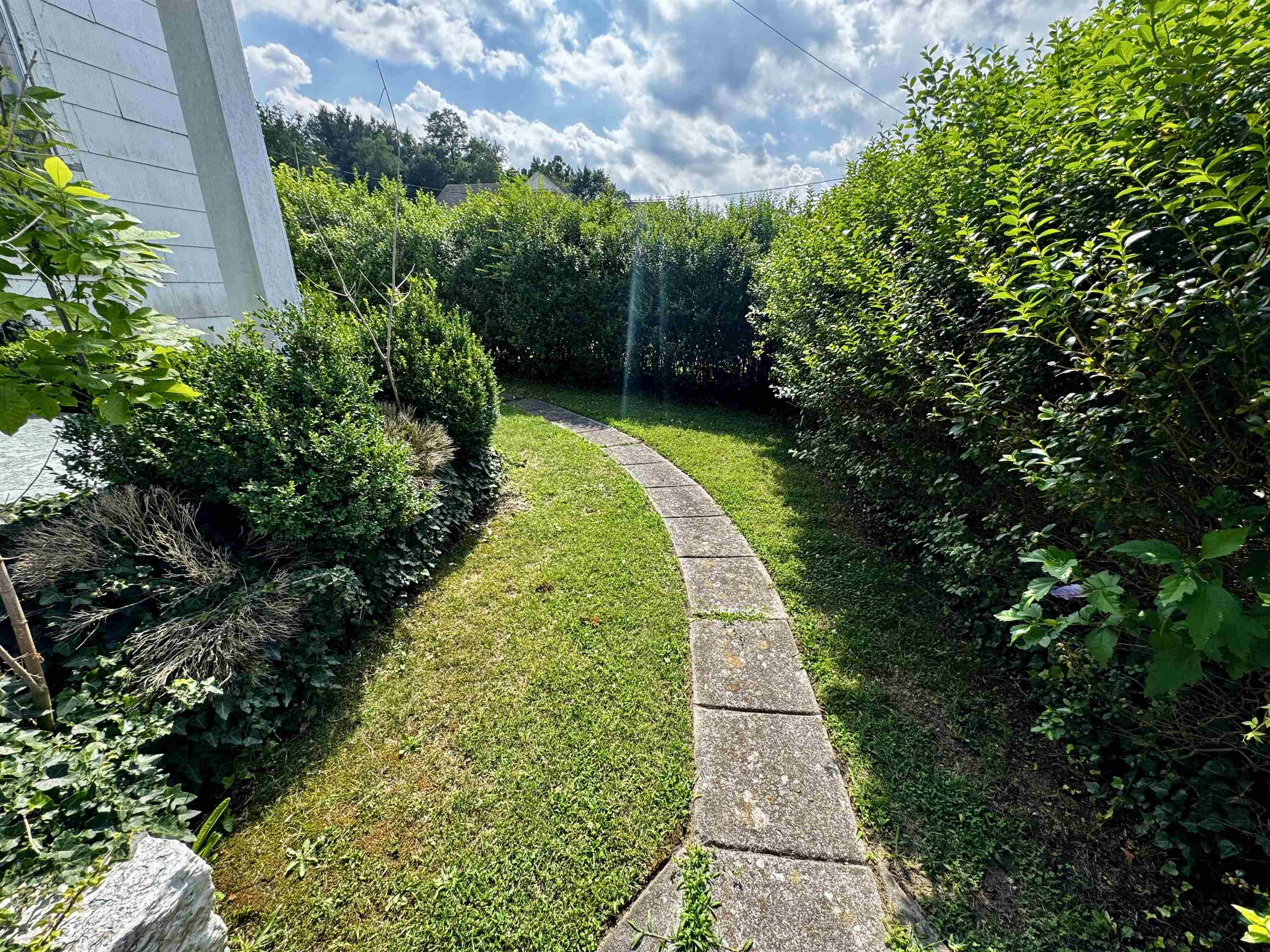 1619 Downey Street Radford VA 24141