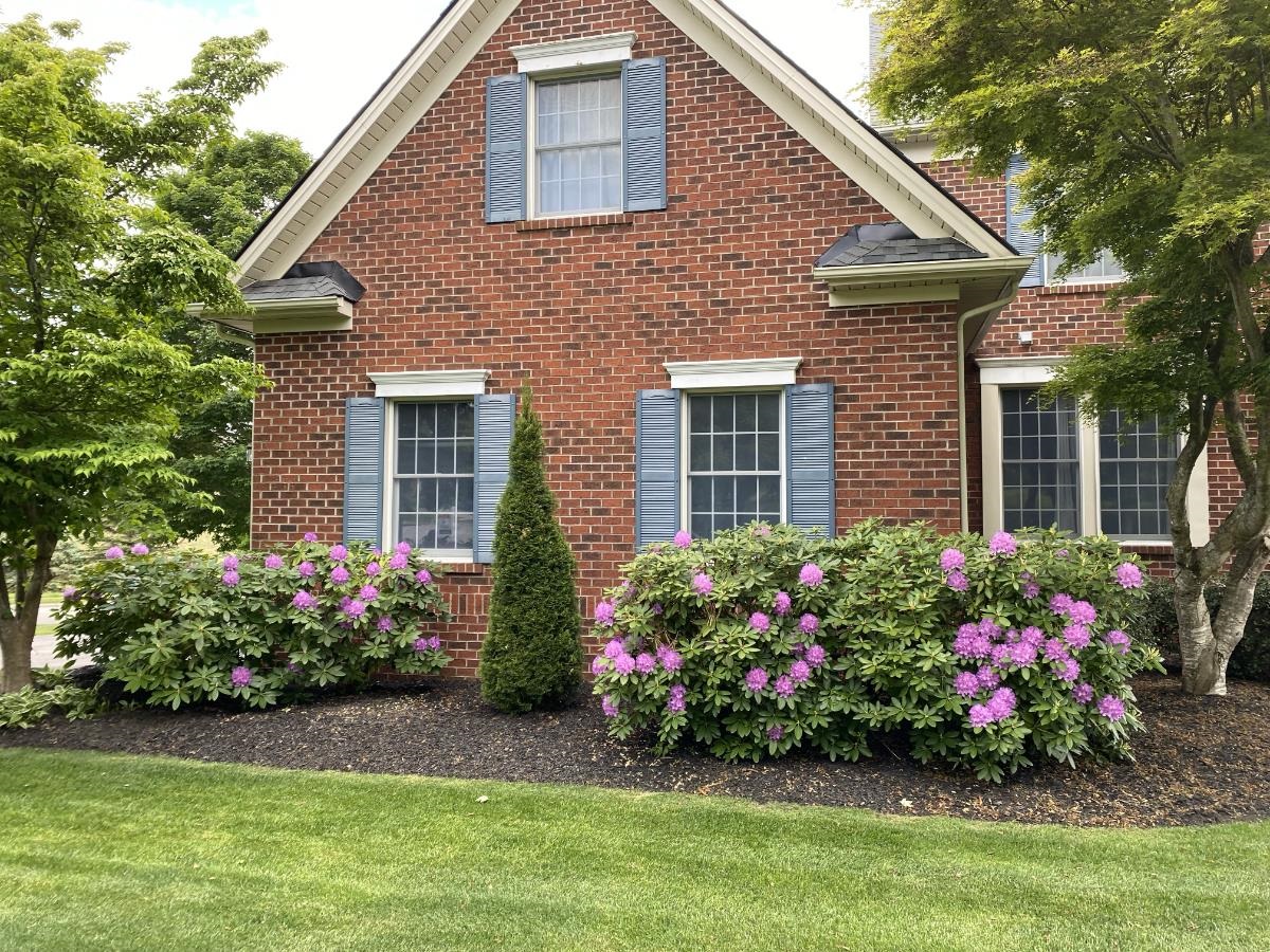 2201 Birch Leaf Lane Blacksburg VA 24060