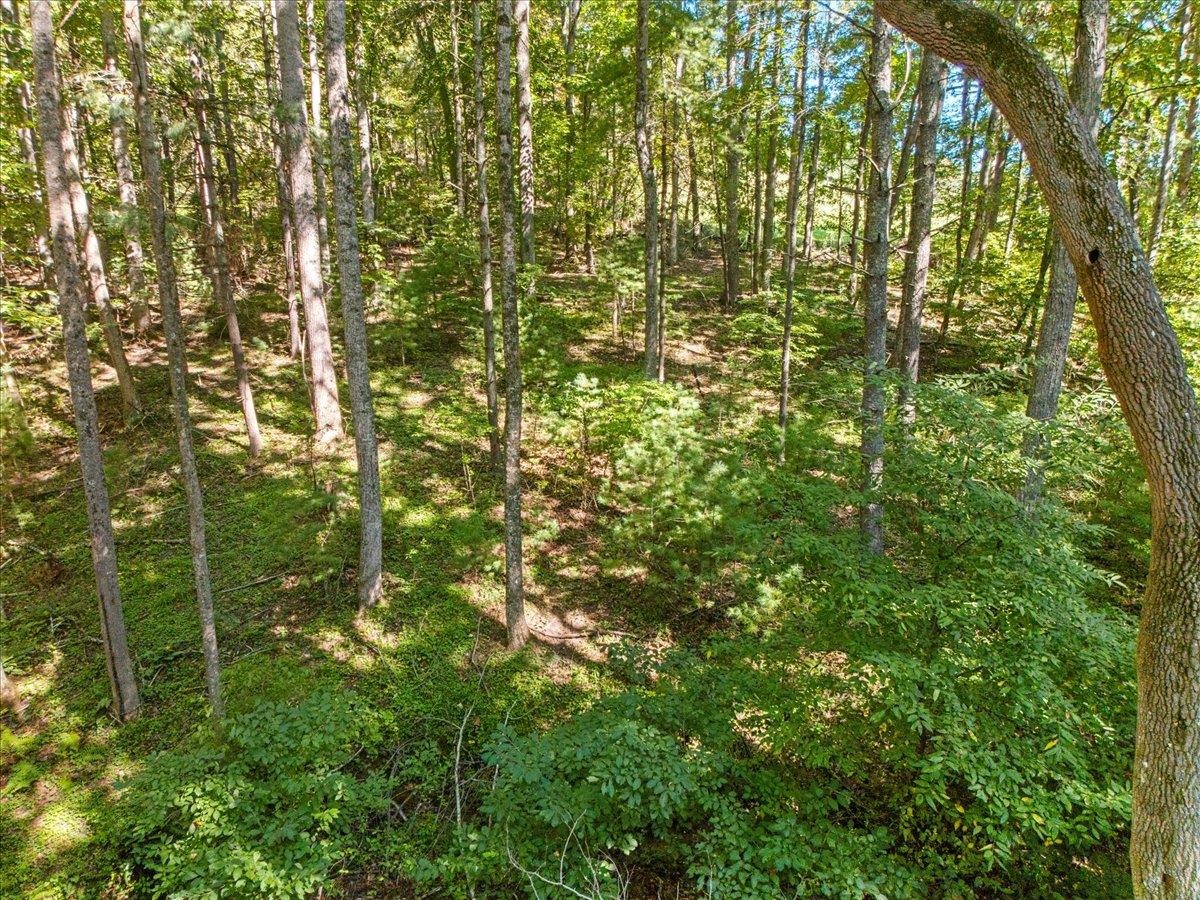 2012 Huffville Road Pilot VA 24138