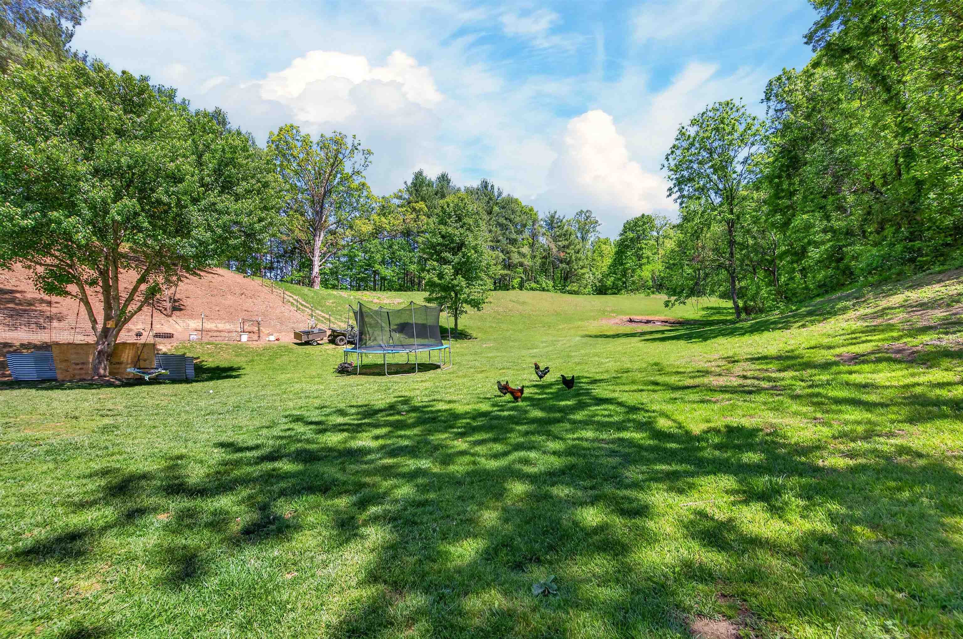 1033 Friendship Road Shawsville VA 24162