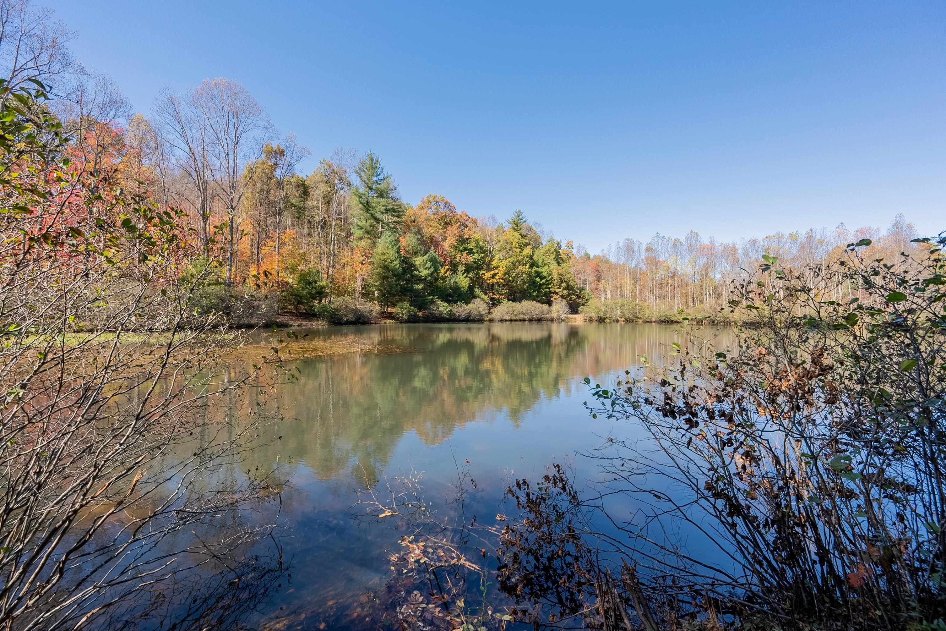 254 Dusty Mile Road NW Willis VA 24380